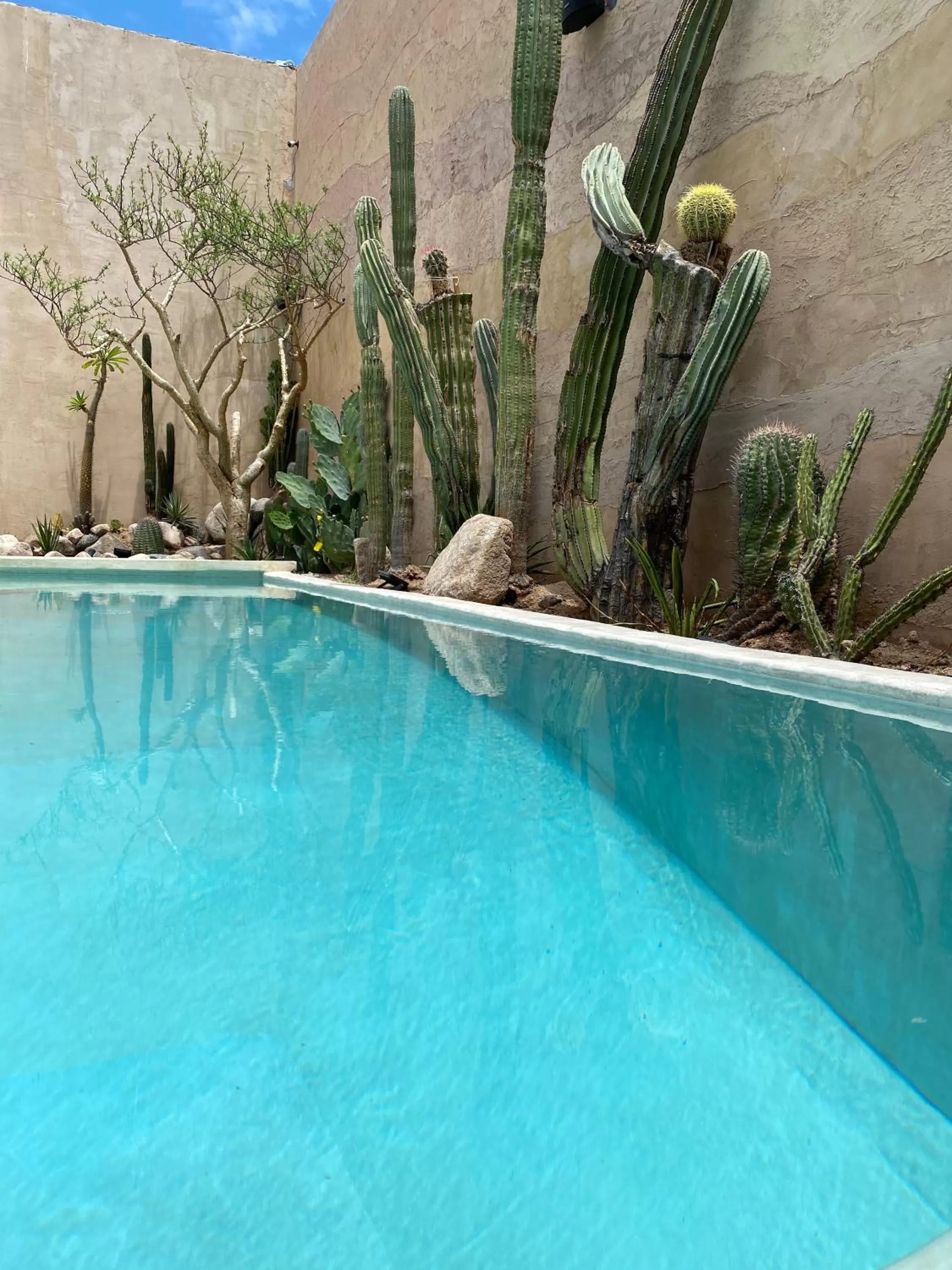 Swimming Pool in Casa Bo