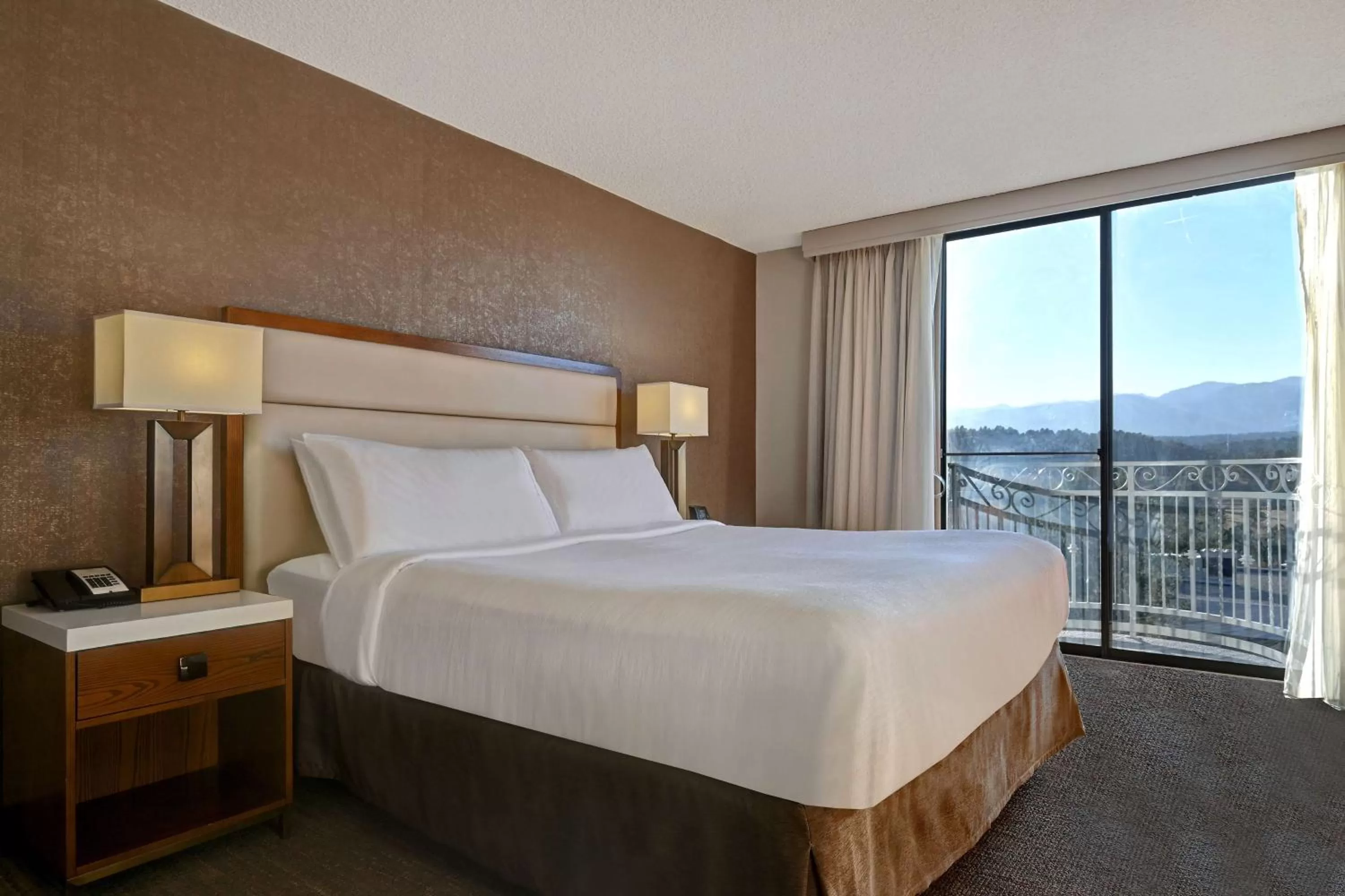 View (from property/room), Bed in Embassy Suites by Hilton Colorado Springs