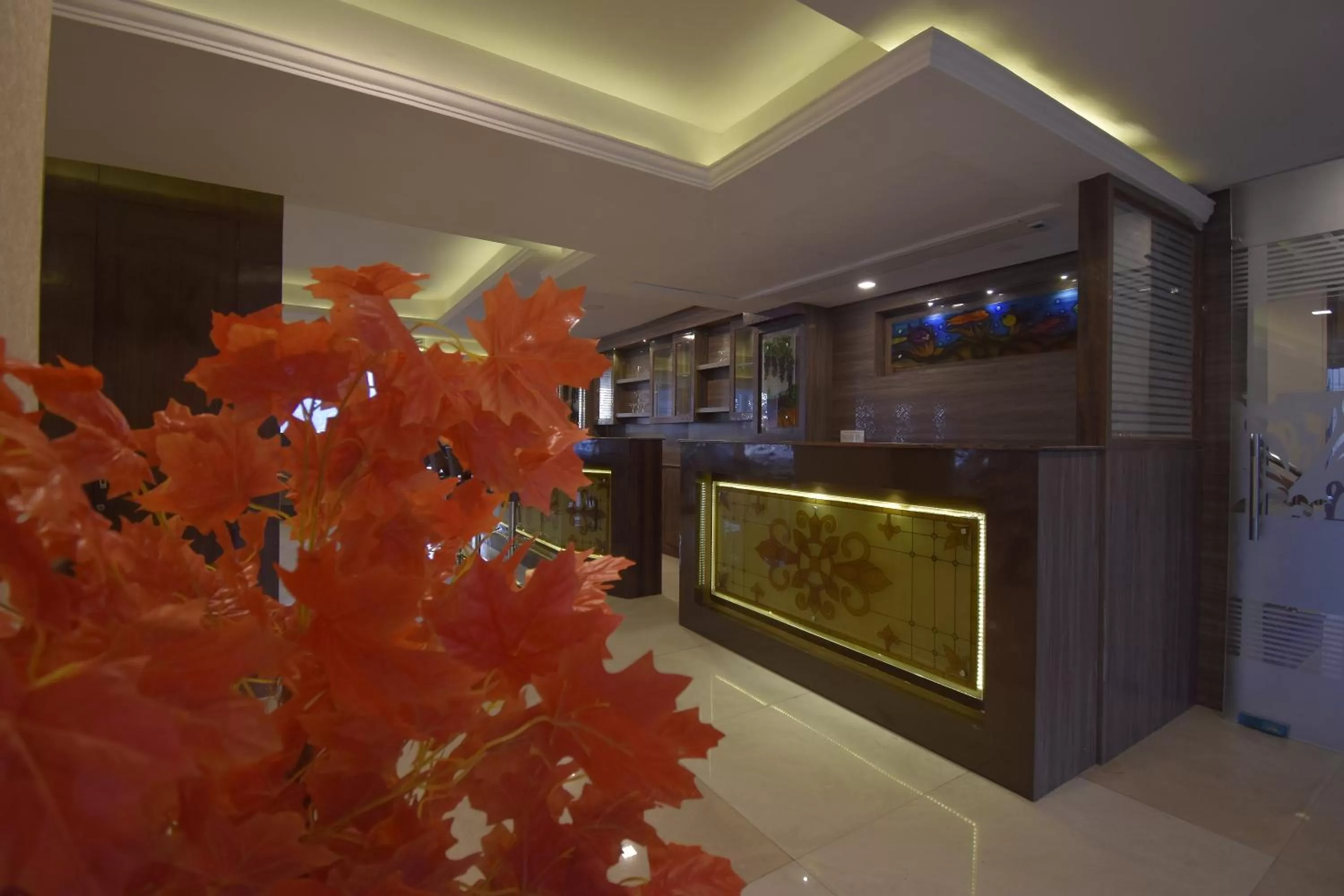 TV and multimedia, Lobby/Reception in The Royal Castle AC Centralized