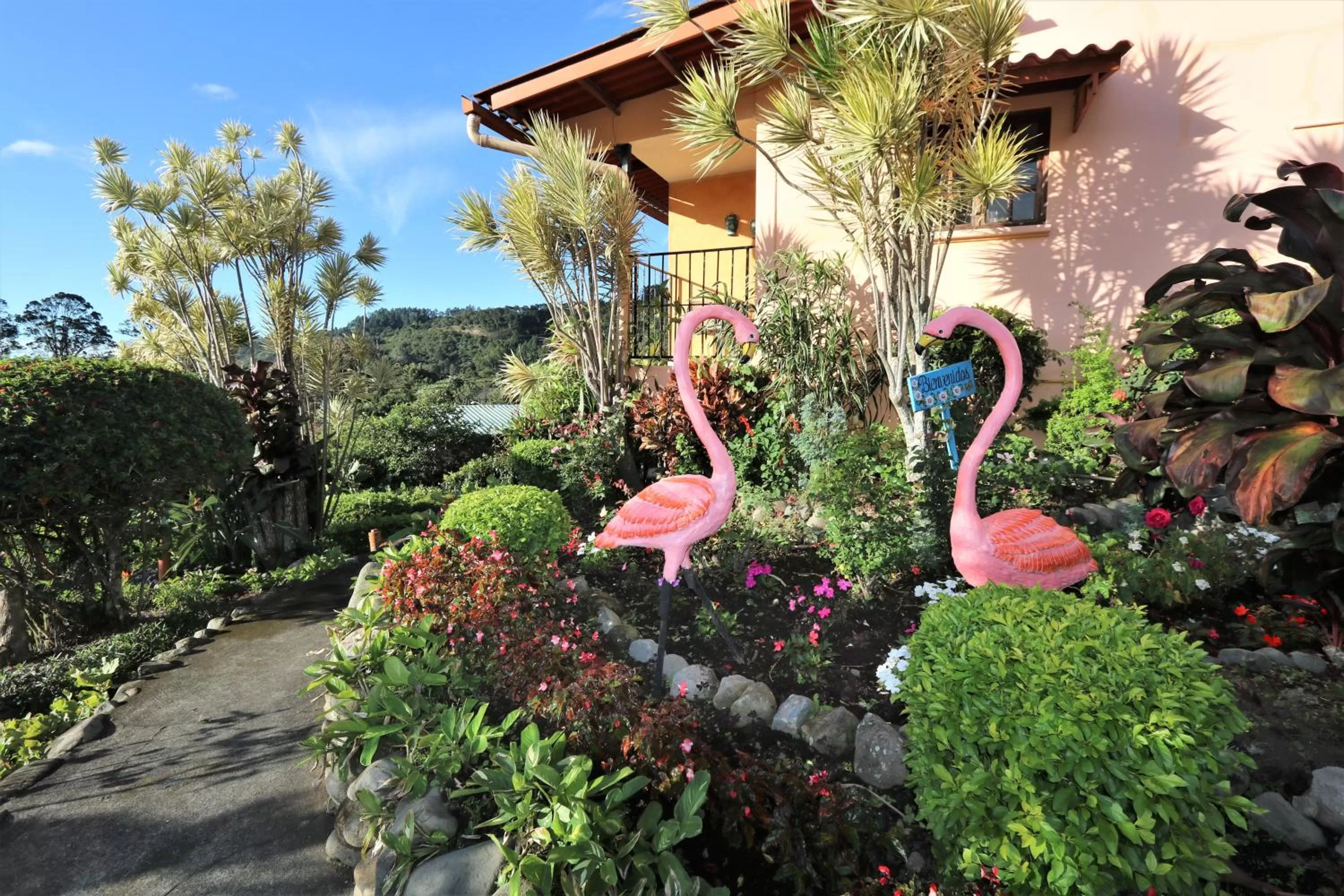 Garden in Aparthotel Los Pinos