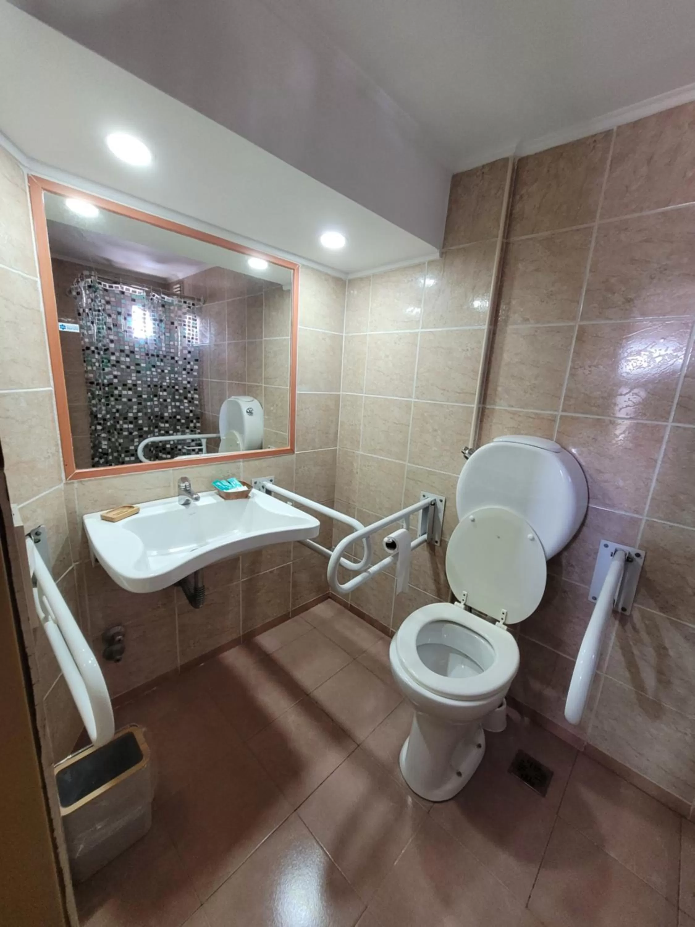 Shower, Bathroom in Hotel ATEPSA