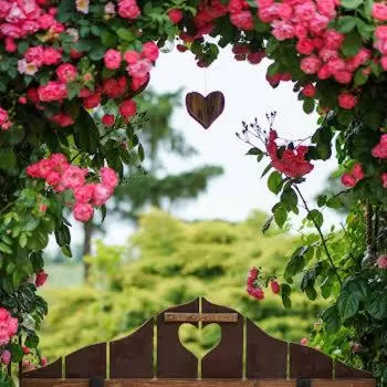 Garden Vendégház Makó