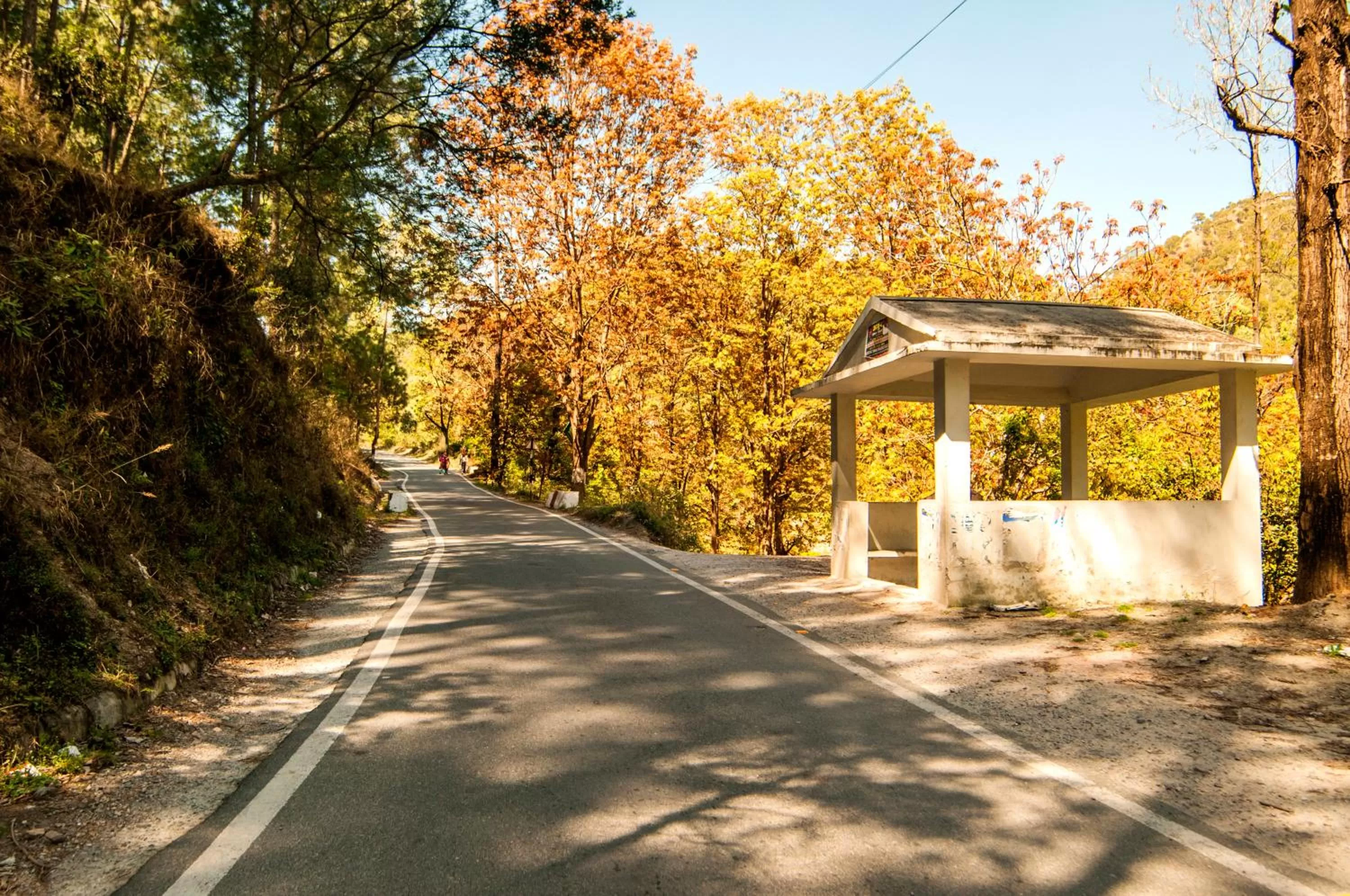 View (from property/room) in DreamCatcher By Samyati Hotels and Resorts