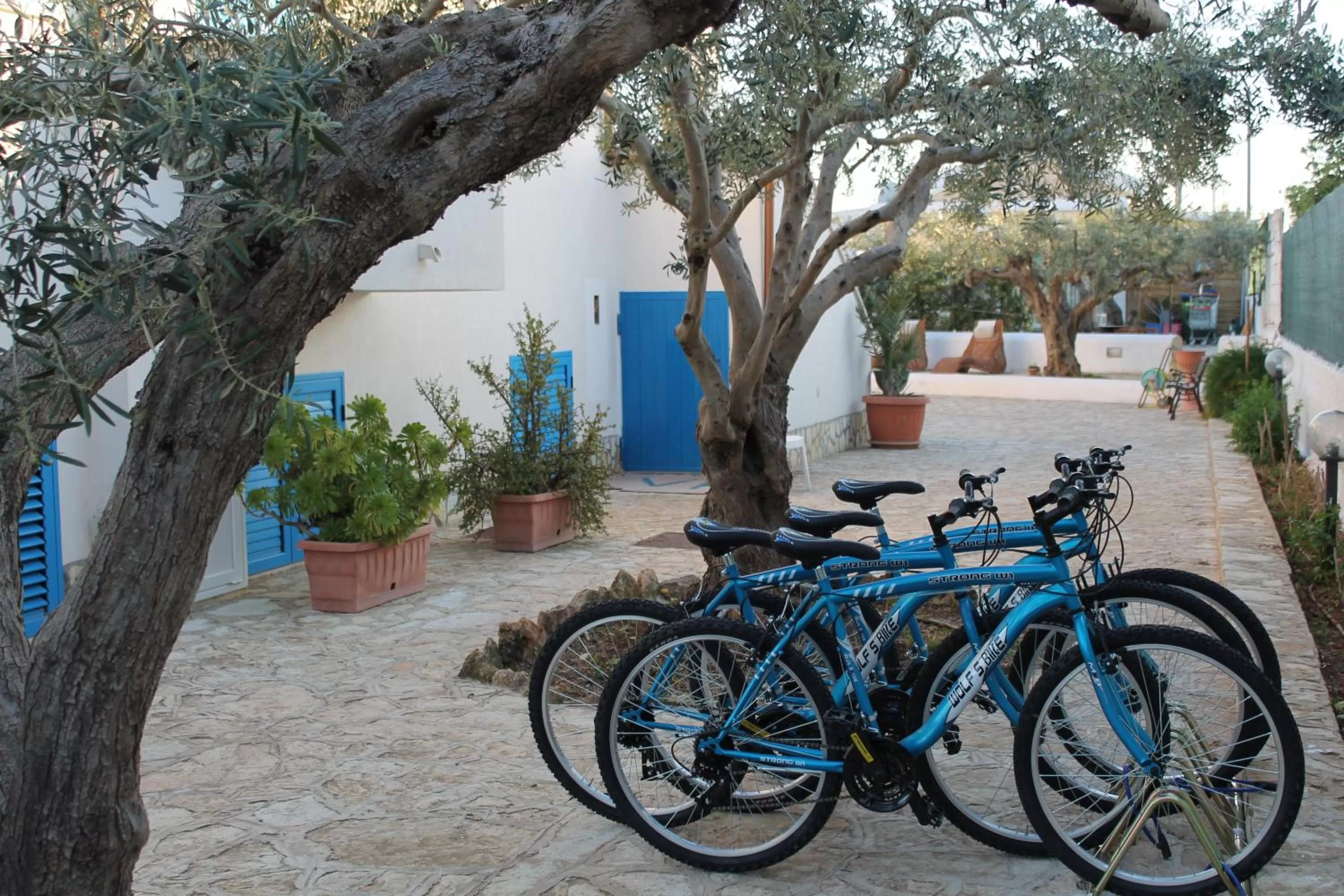 Decorative detail in Signorino Eco Resort & Spa