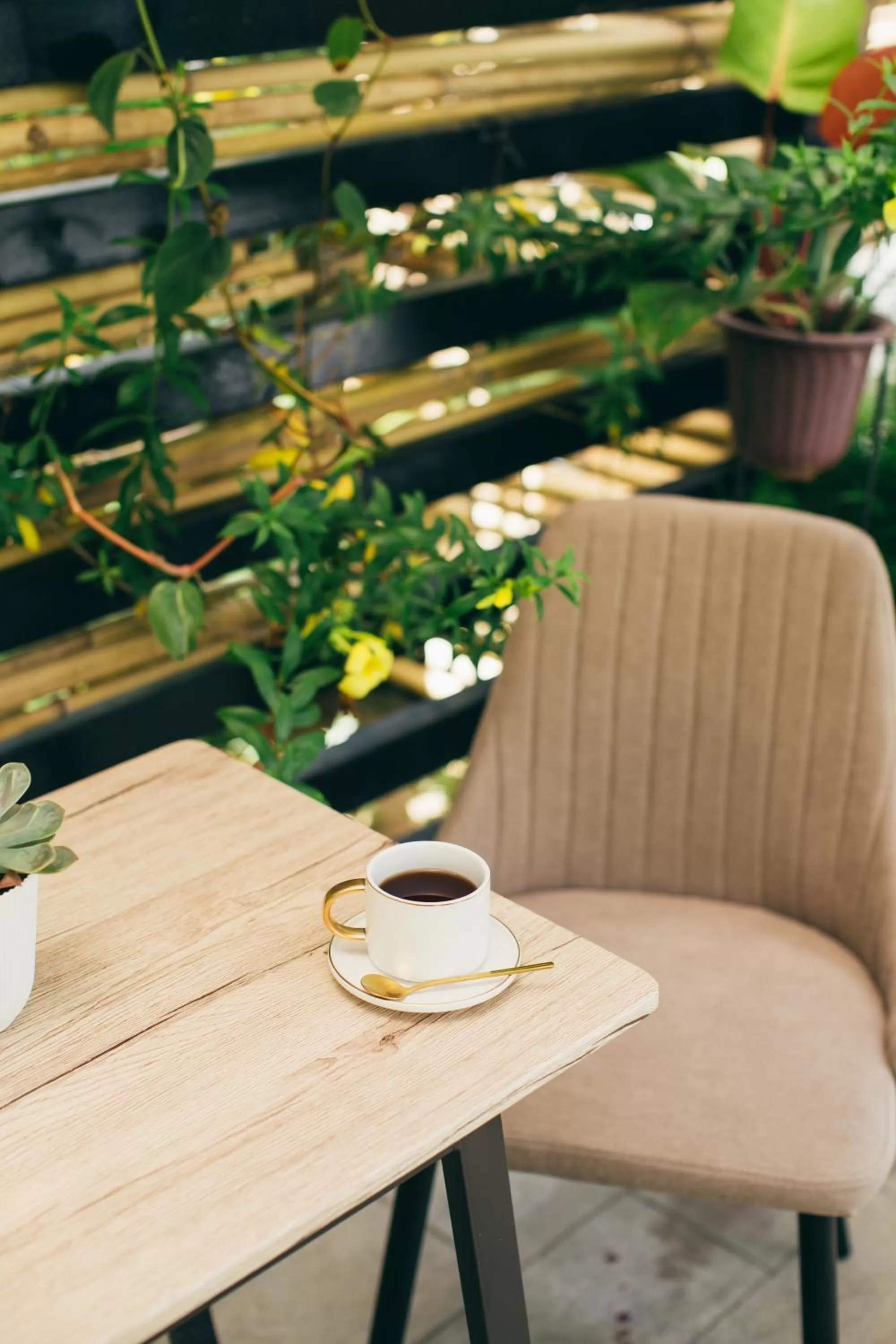 Seating area in Summer Days