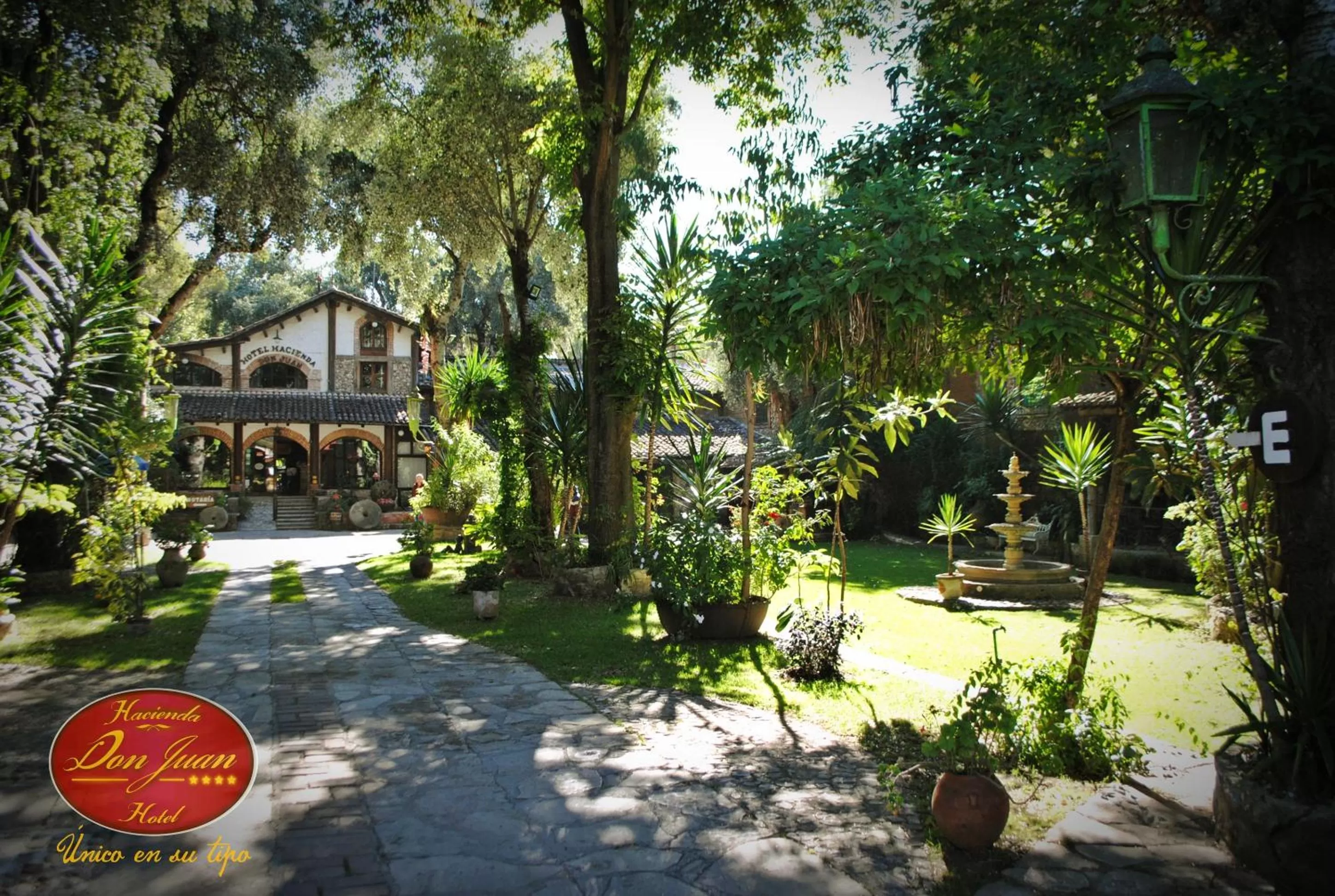 Natural landscape in Hotel Hacienda Don Juan