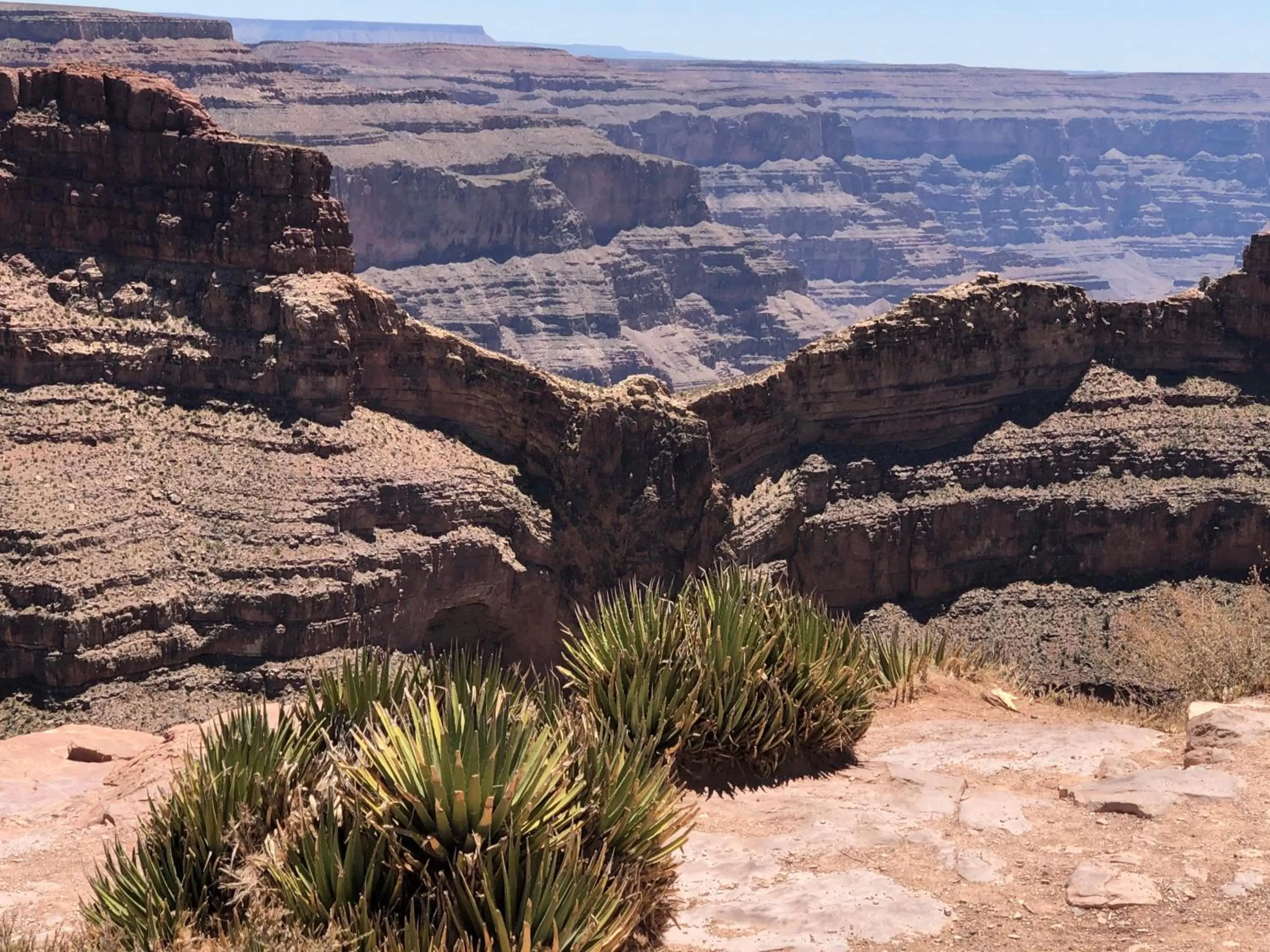 Natural landscape in Cabins at Grand Canyon West