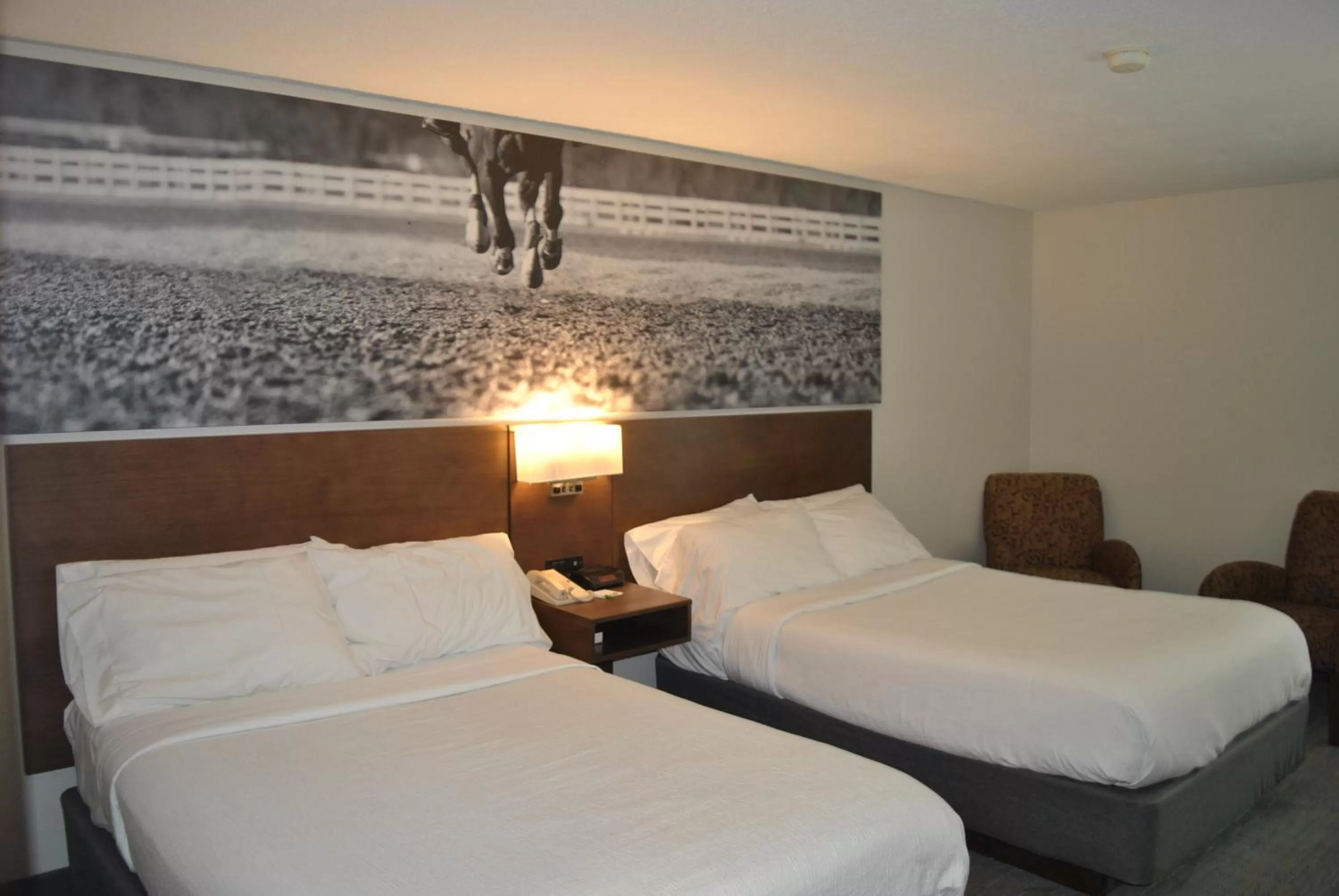 Bedroom, Bed in Clarion Pointe Hopkinsville near The Bruce Convention Center