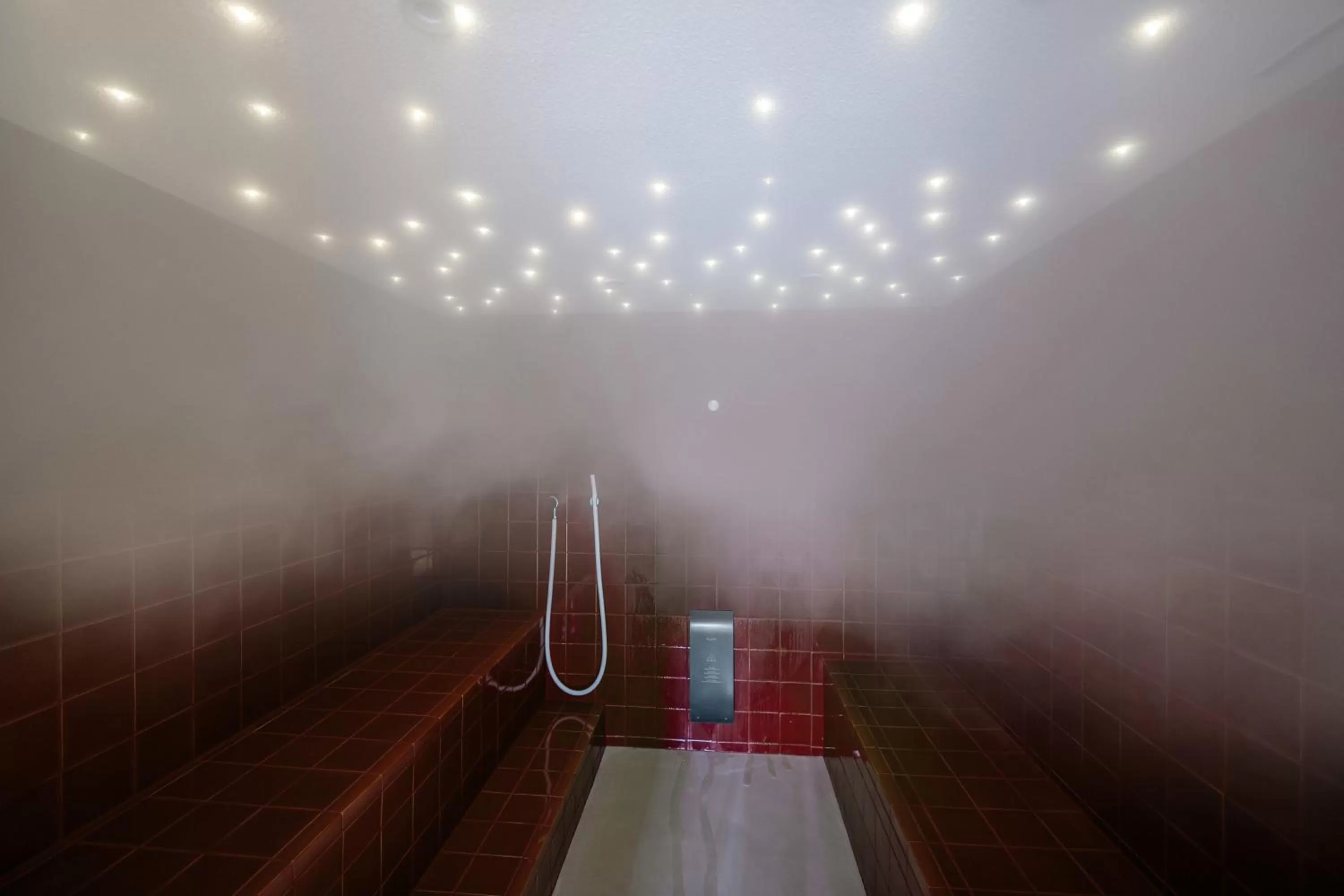 Steam room in See- und Seminarhotel FloraAlpina Vitznau