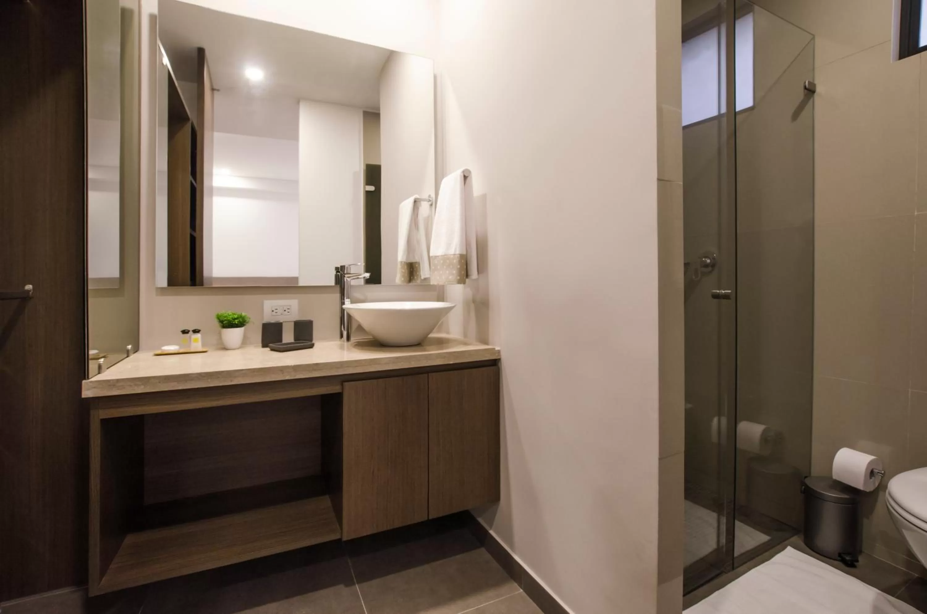 Bathroom, Coffee/Tea Facilities in ZITU 106