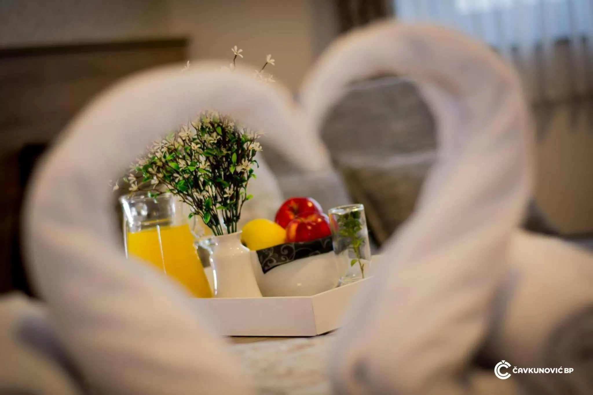 Decorative detail in Motel Kamenica