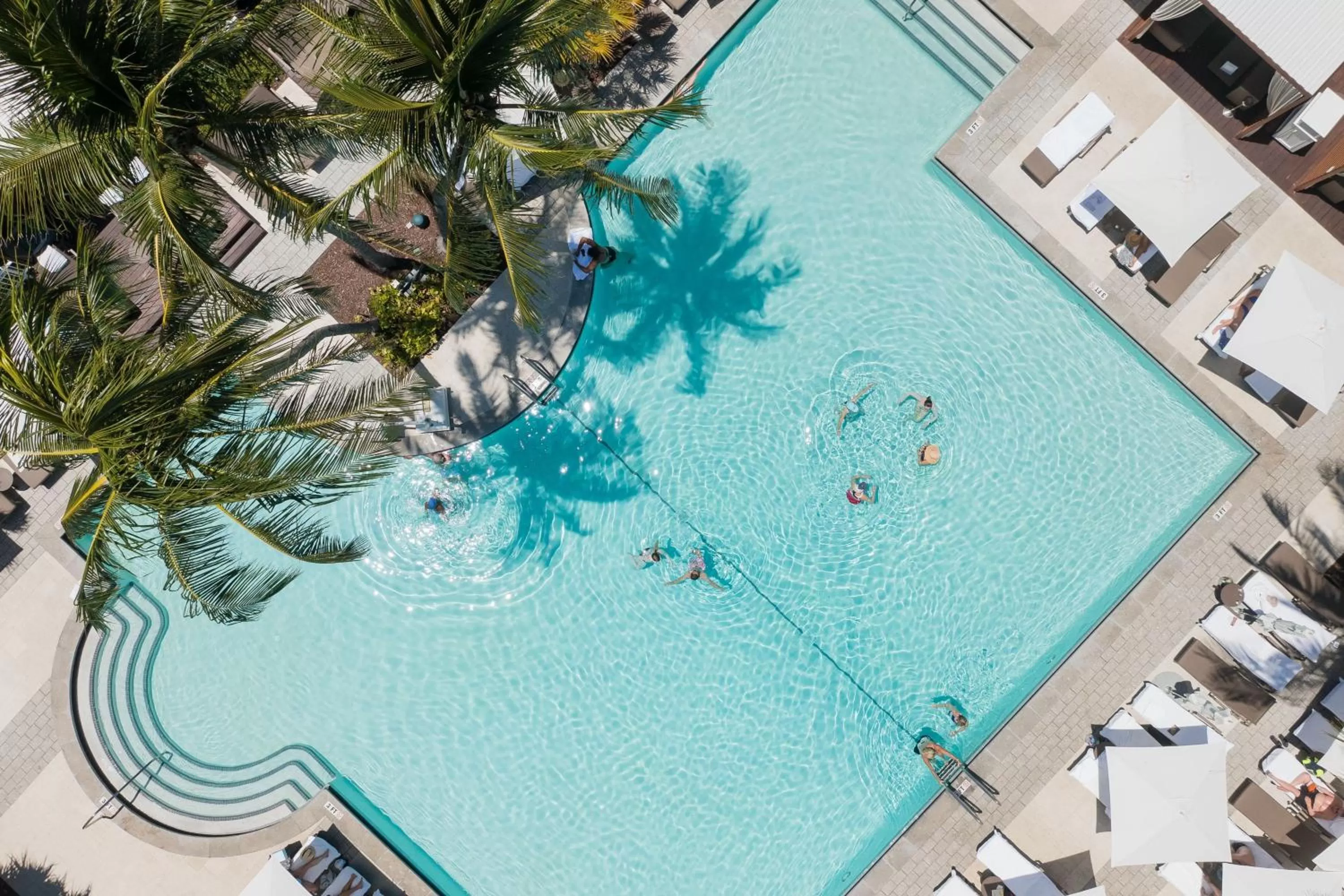 Swimming pool in The Ritz-Carlton Key Biscayne, Miami