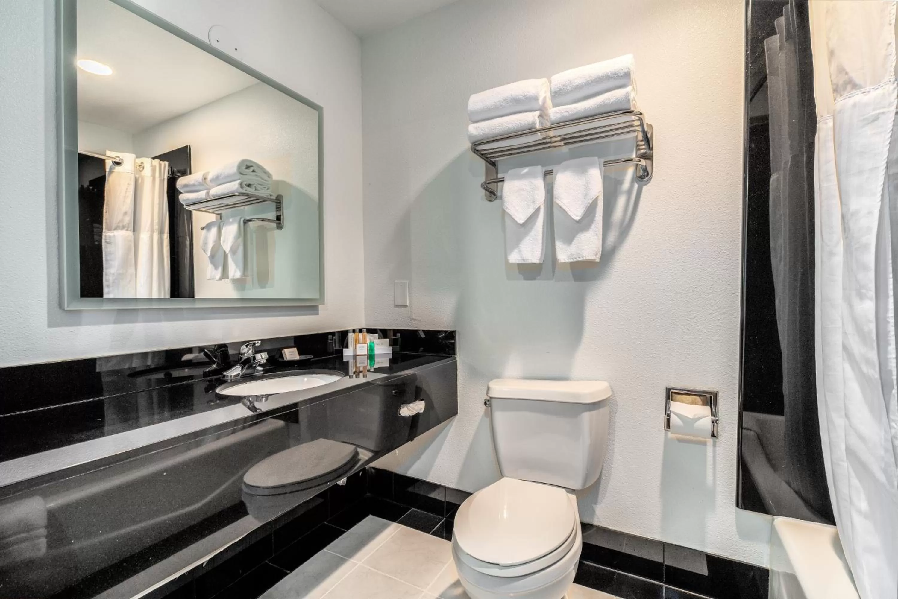 Shower in Century Park Hotel LA