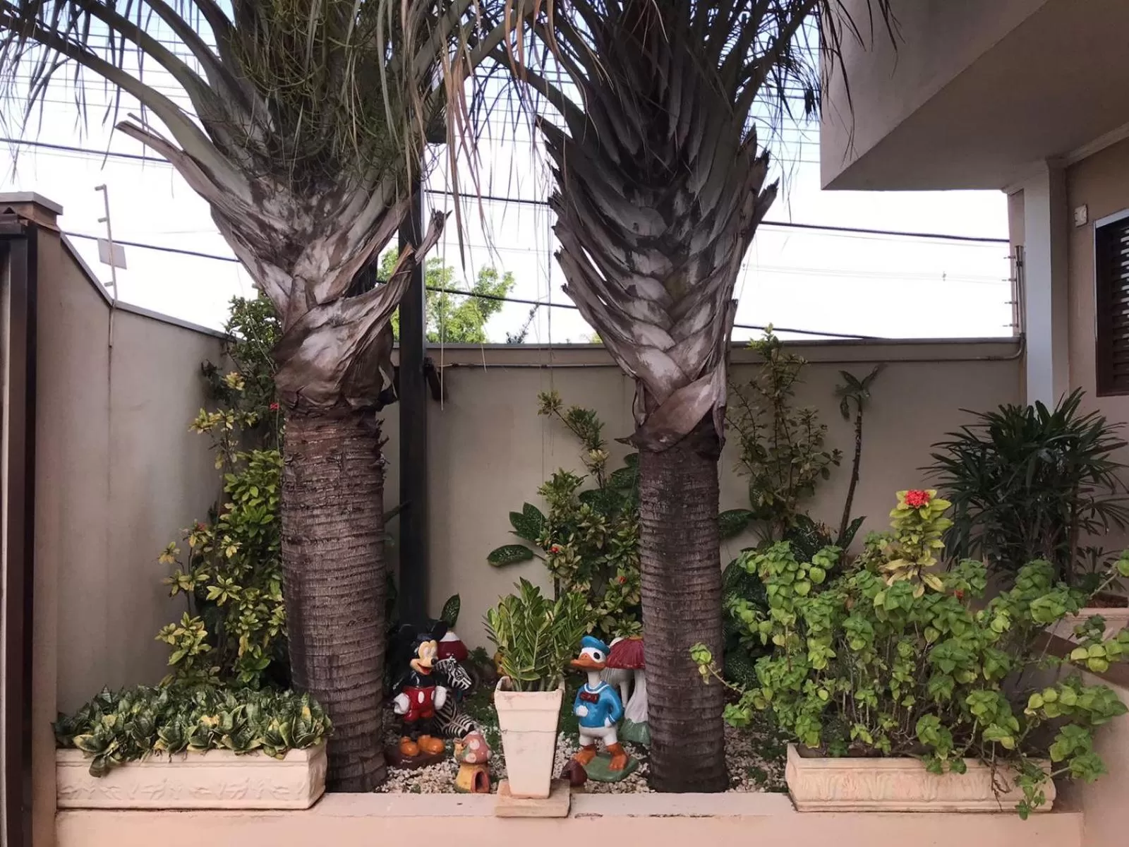 Patio in Hotel Portela III