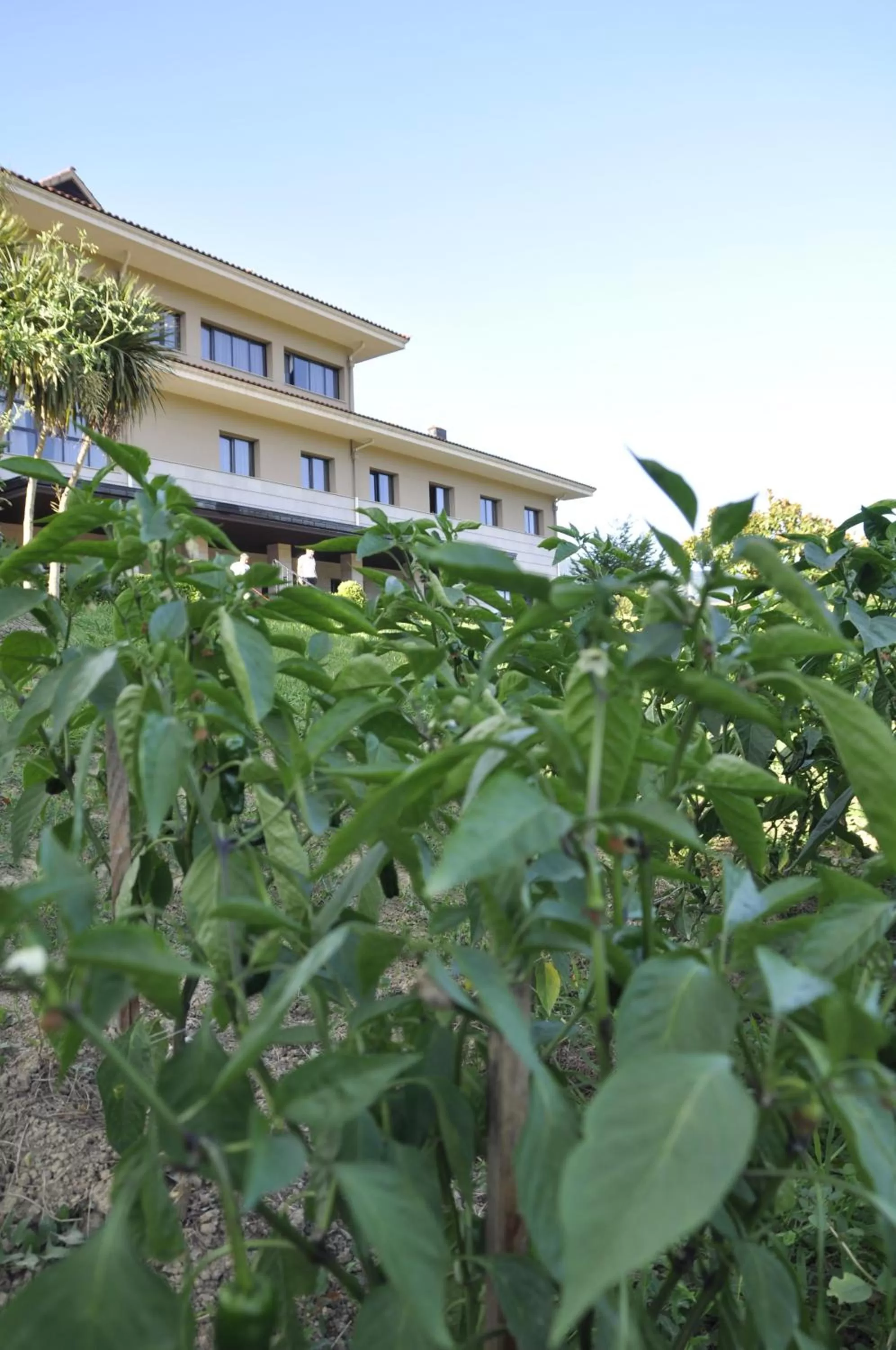 Property building in Hotel Elorrio