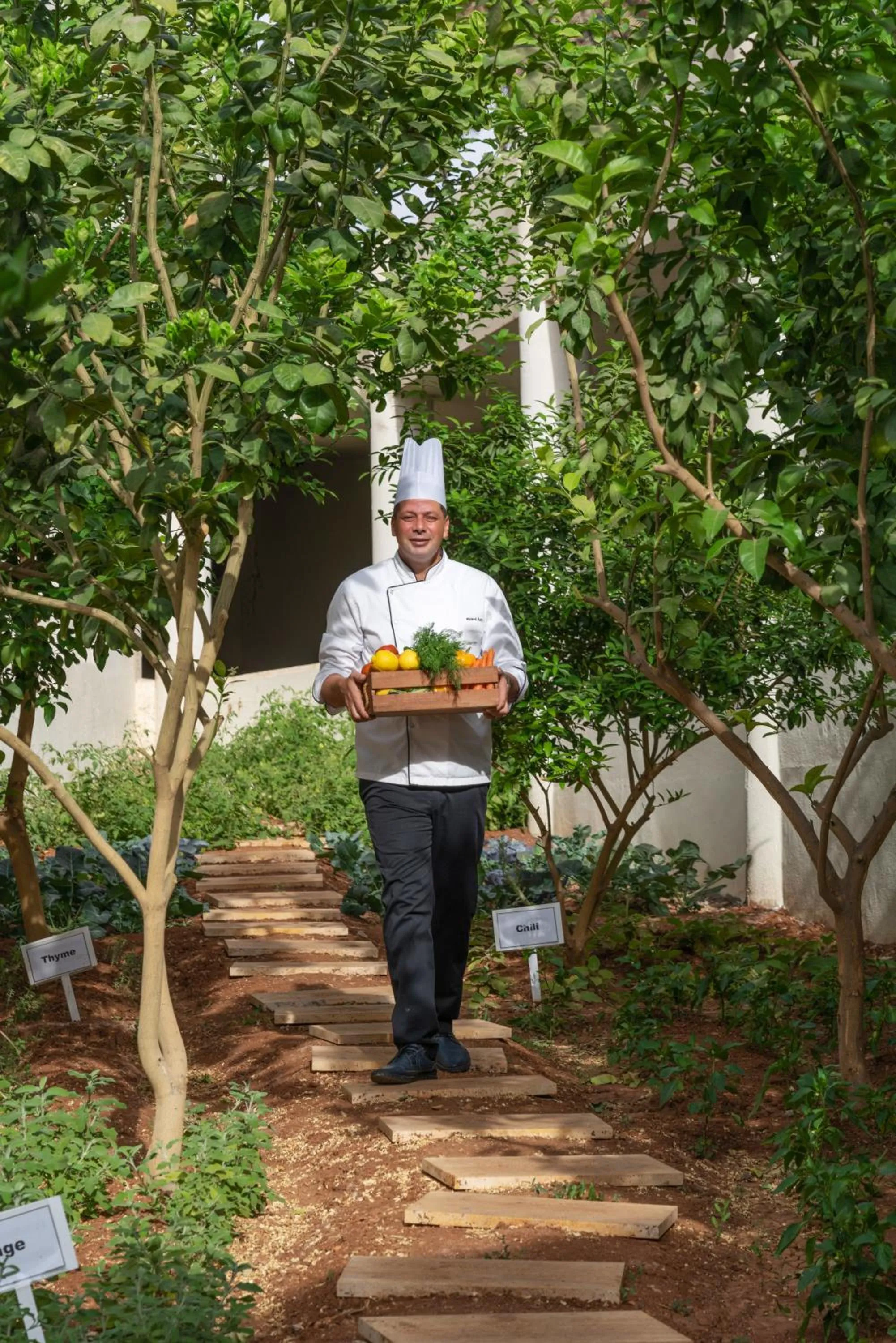 Food in Mövenpick Resort & Residences Aqaba