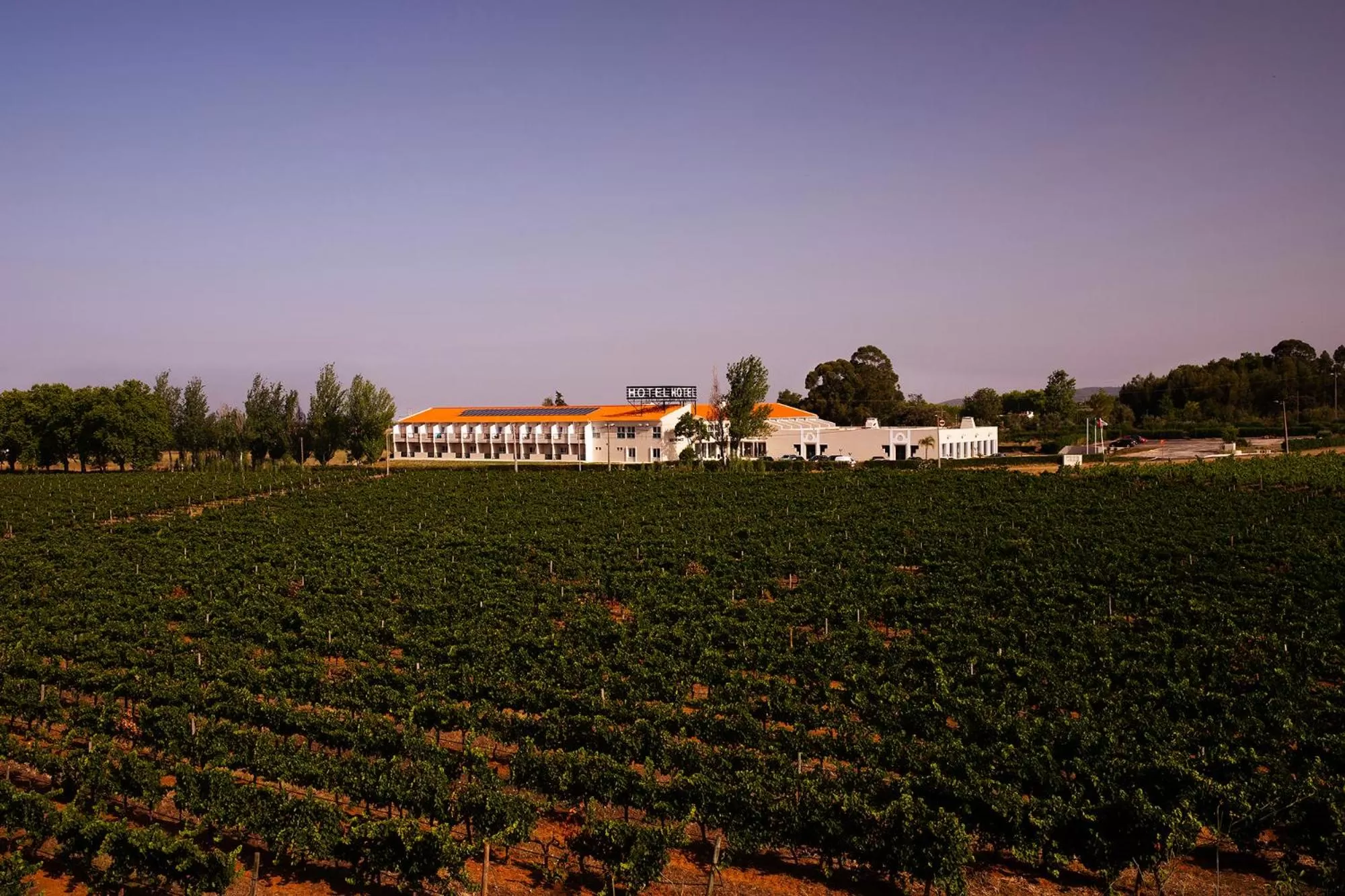 Facade/entrance in Estremoz Hotel