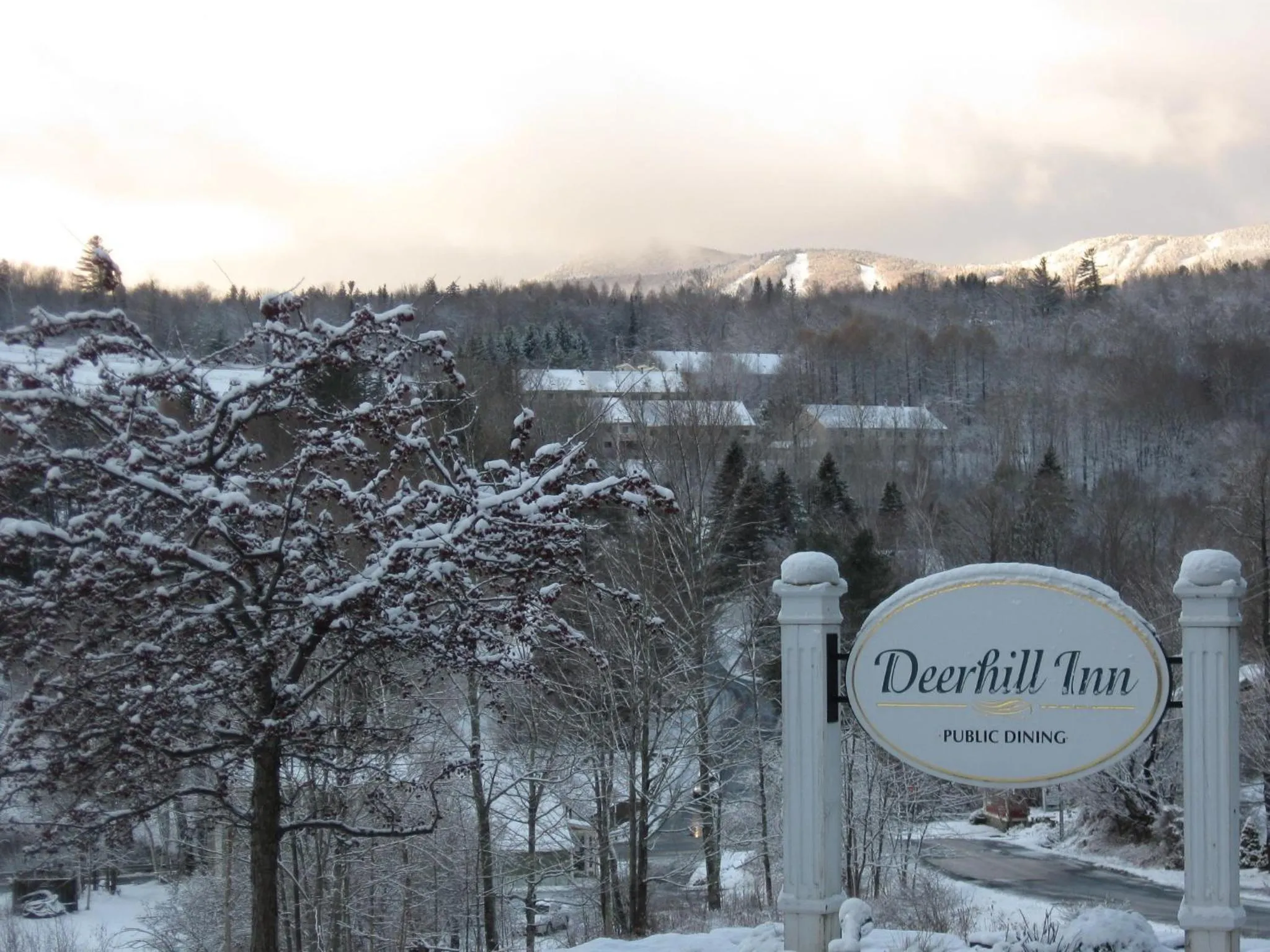 Property logo or sign in Deerhill Inn