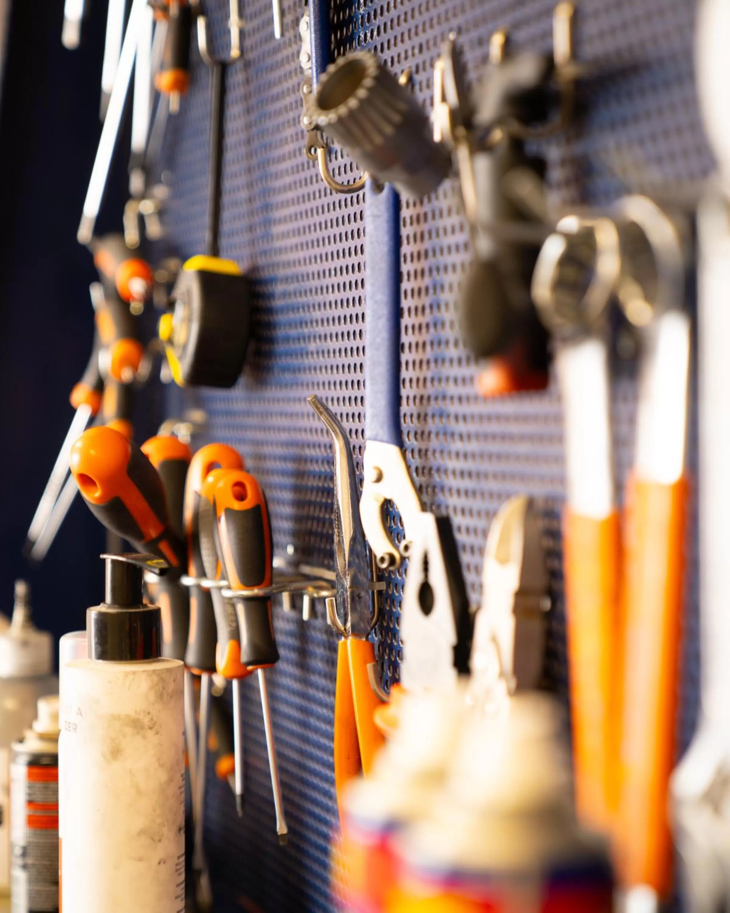 Sports in La Genzianella Bormio