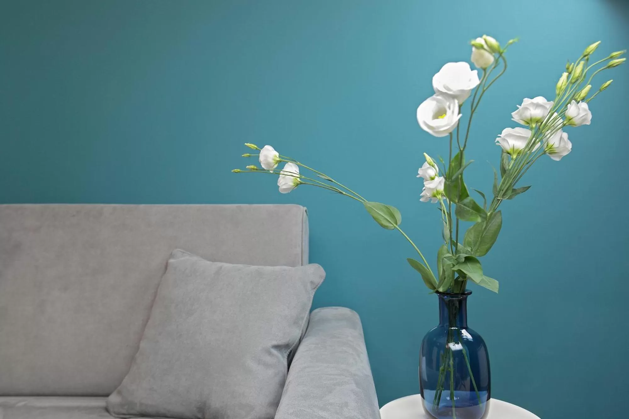 Living room in B&Bari, via Cairoli - guesthouse Le Case di Aurelia