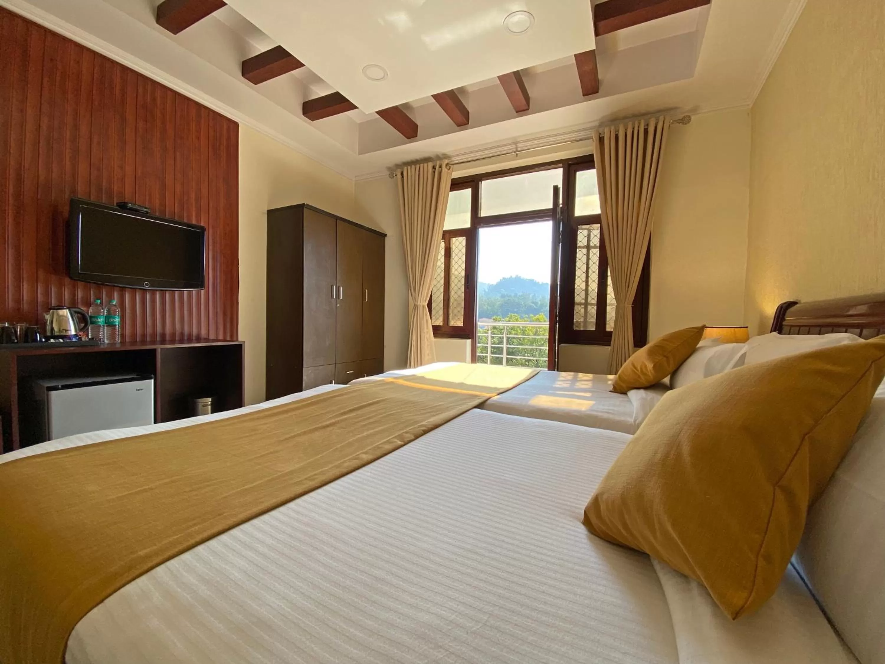 TV and multimedia in Hotel Nirvana Palace Rishikesh