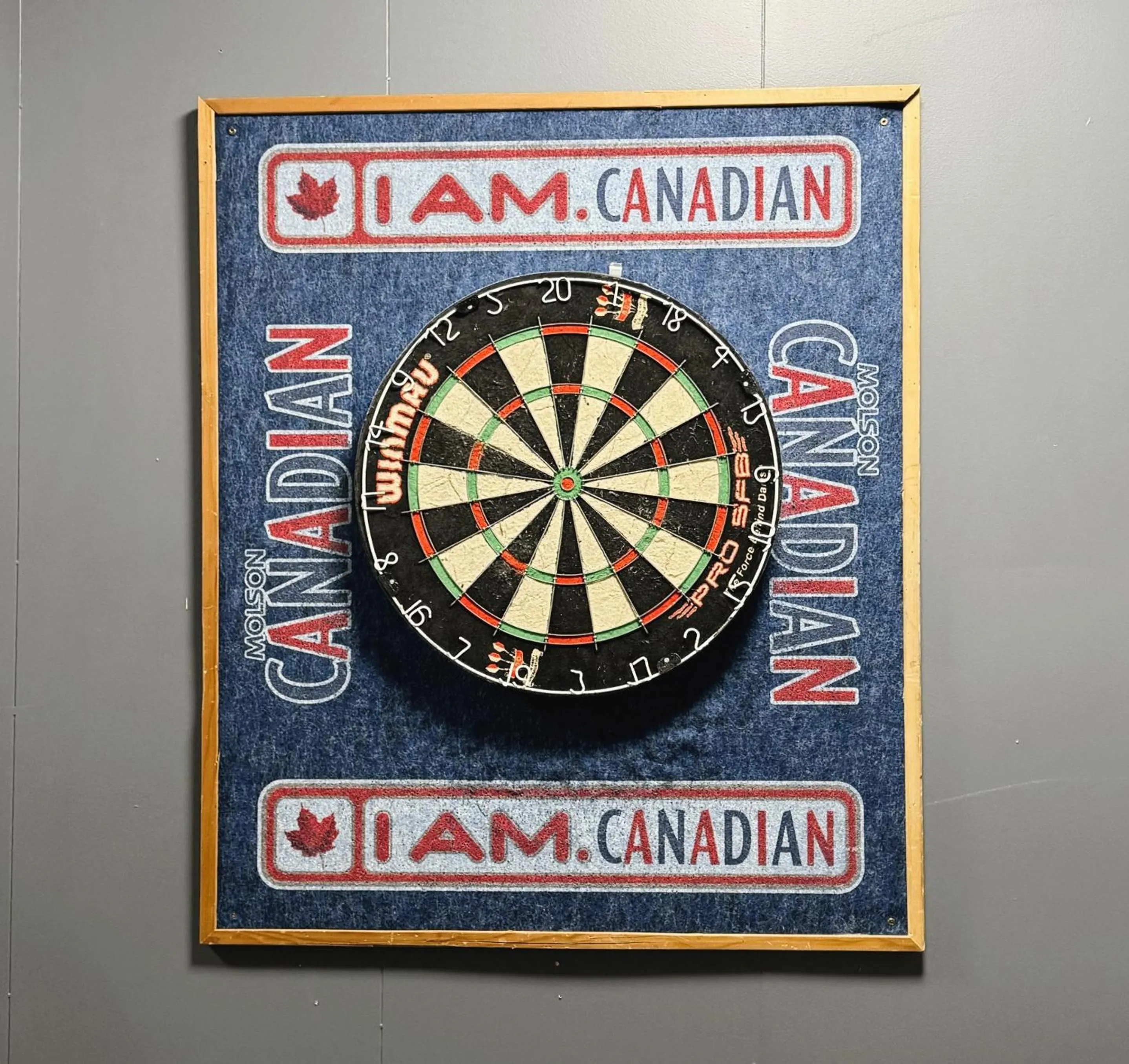 Darts in Divya Sutra Plaza and Conference Centre, Vernon, BC