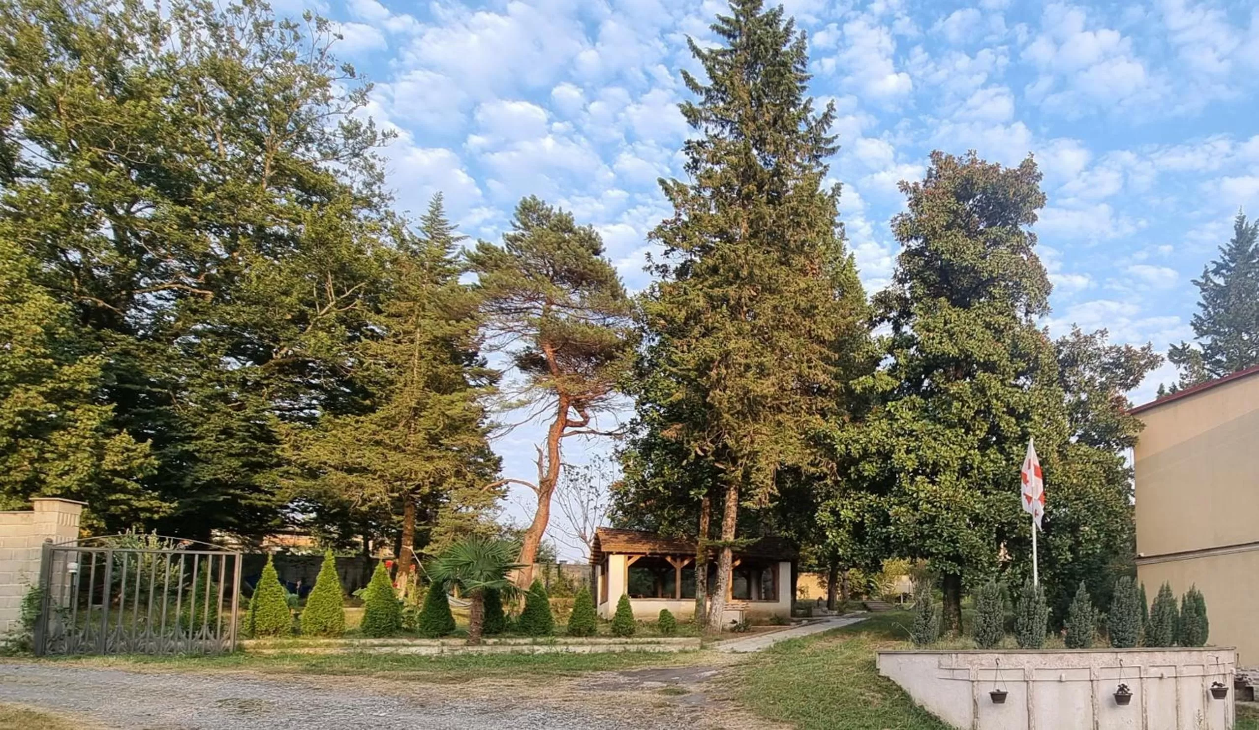 Garden in Hotel Giorgi