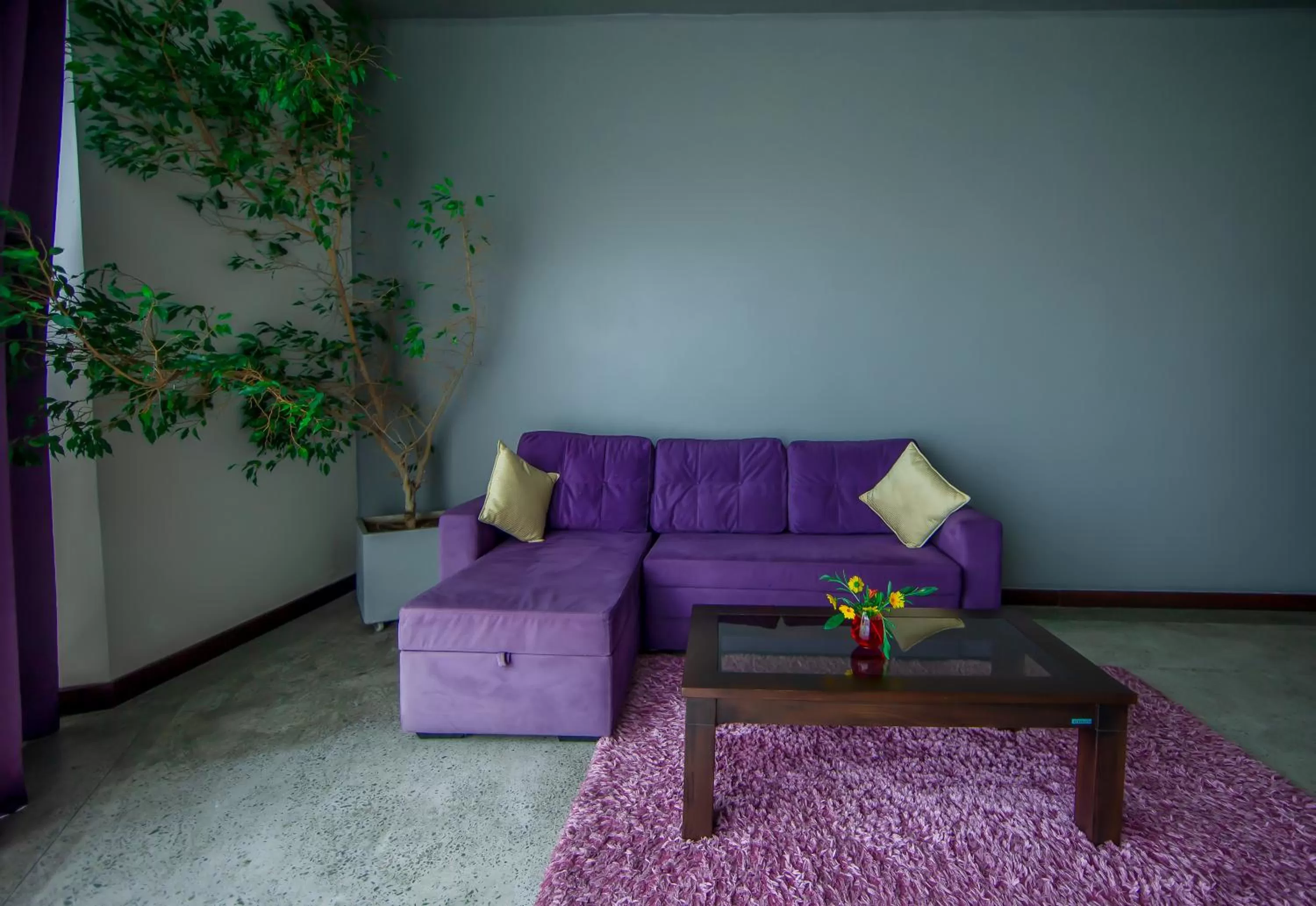 Living room in Skyloft Kandy by Aaradhya