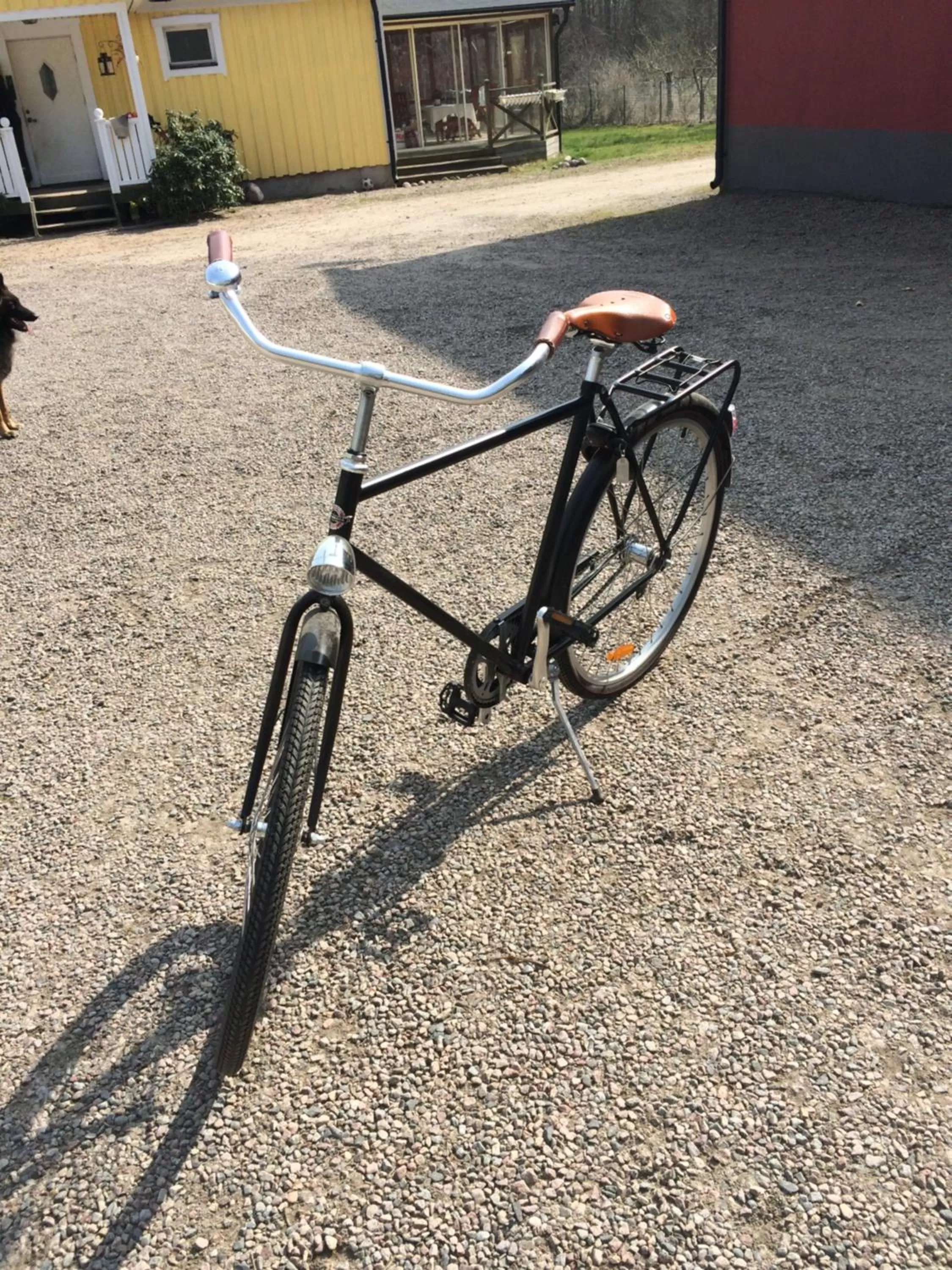 Other Activities in skummeslöv B & B