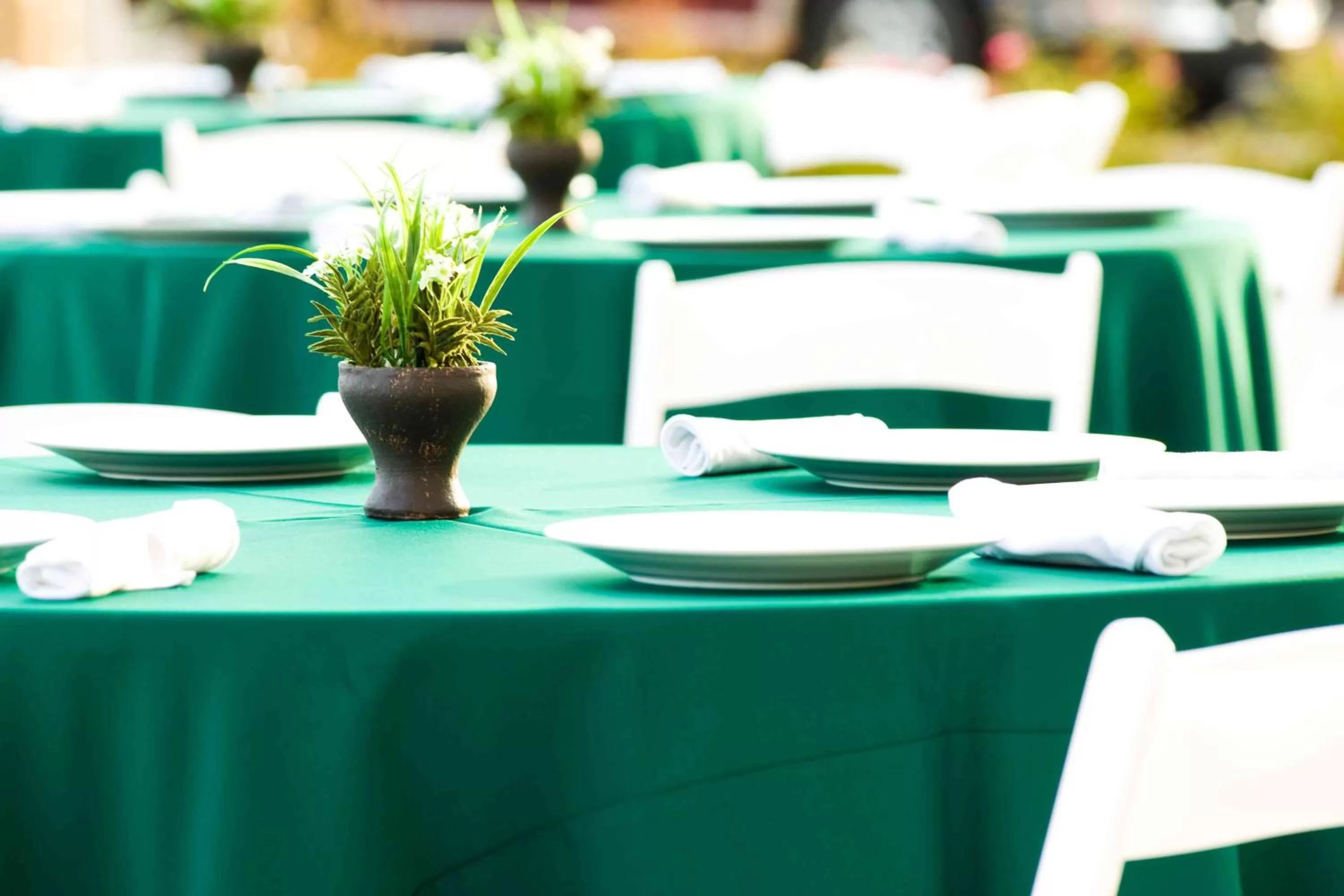 Meeting/conference room in Holiday Inn Valdosta Conference Center by IHG