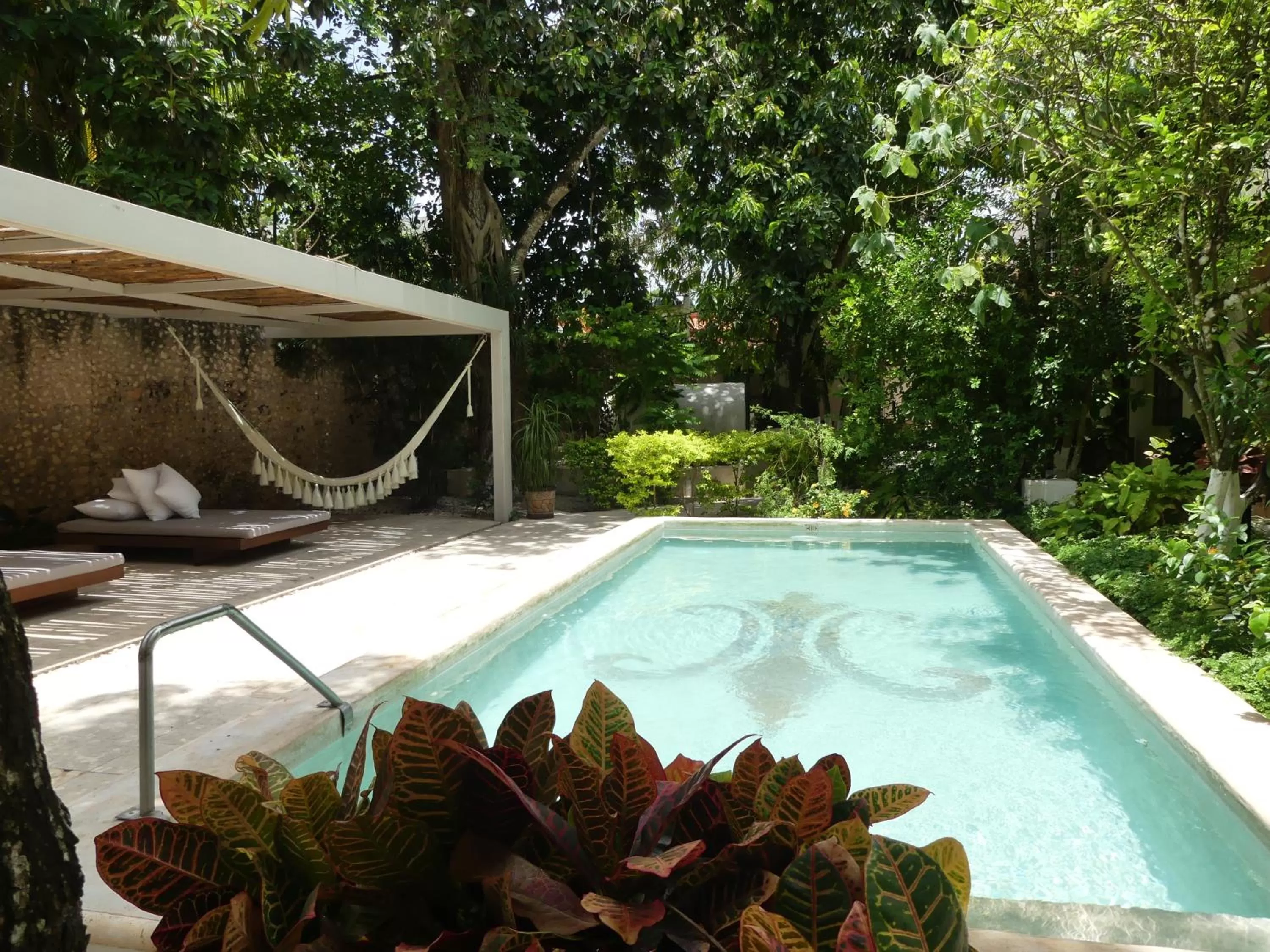 Swimming pool in Casa Valladolid Boutique Hotel