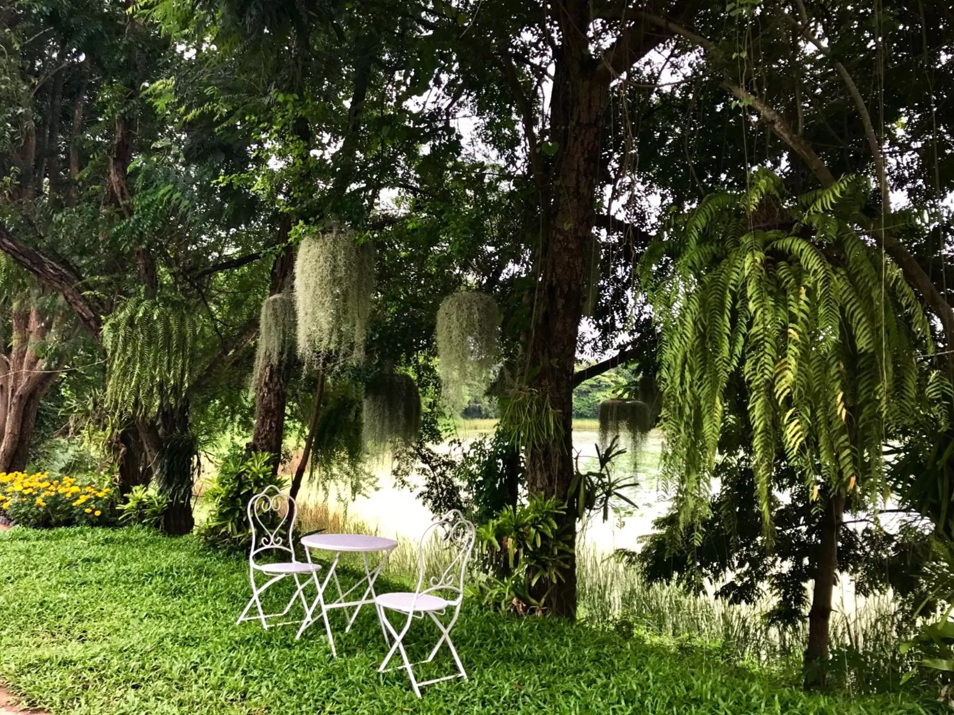 Off site in Anchan Laguna Hotel โรงแรมอัญชันลากูน่า