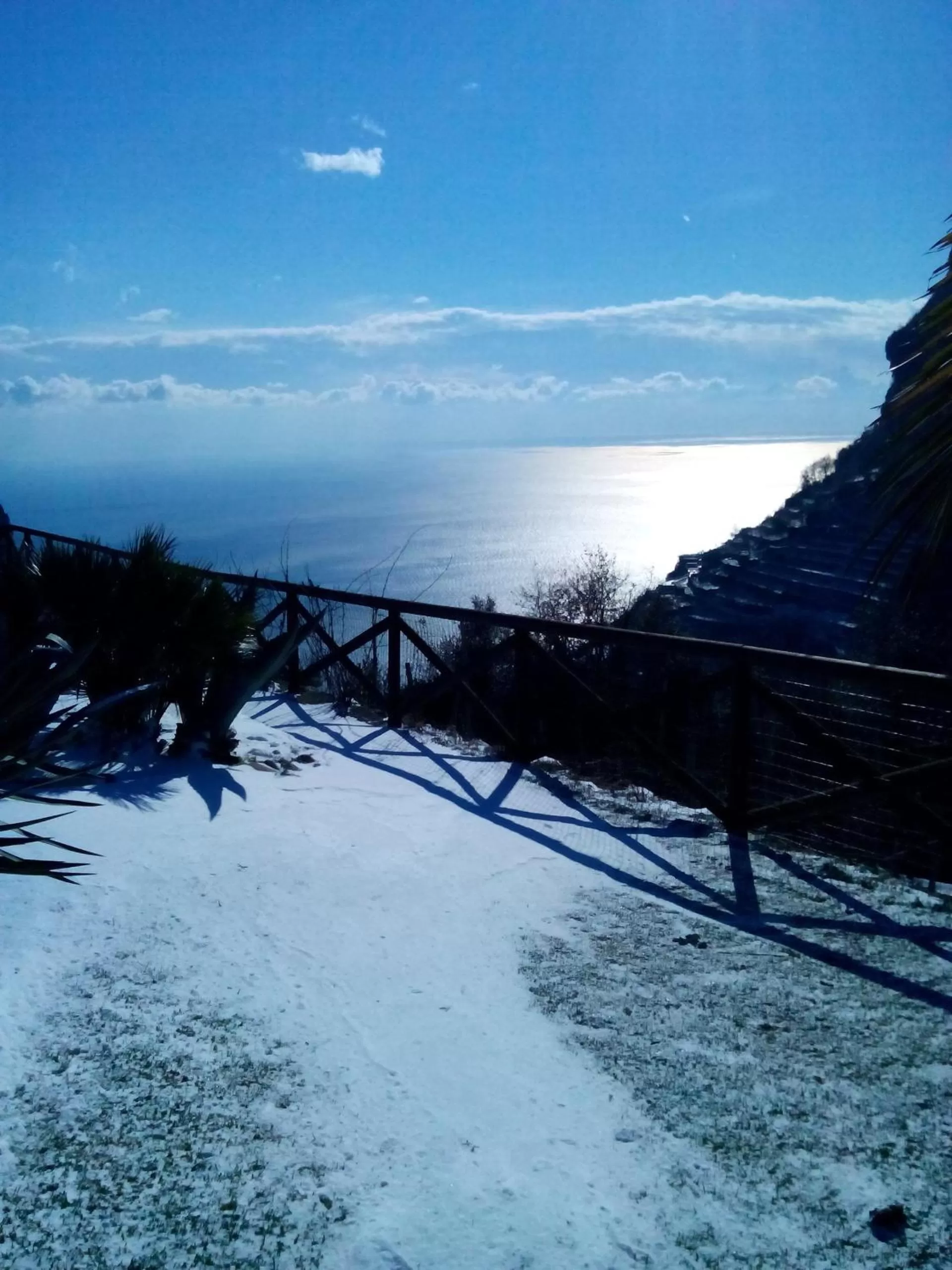 Garden, Winter in La Cicogna