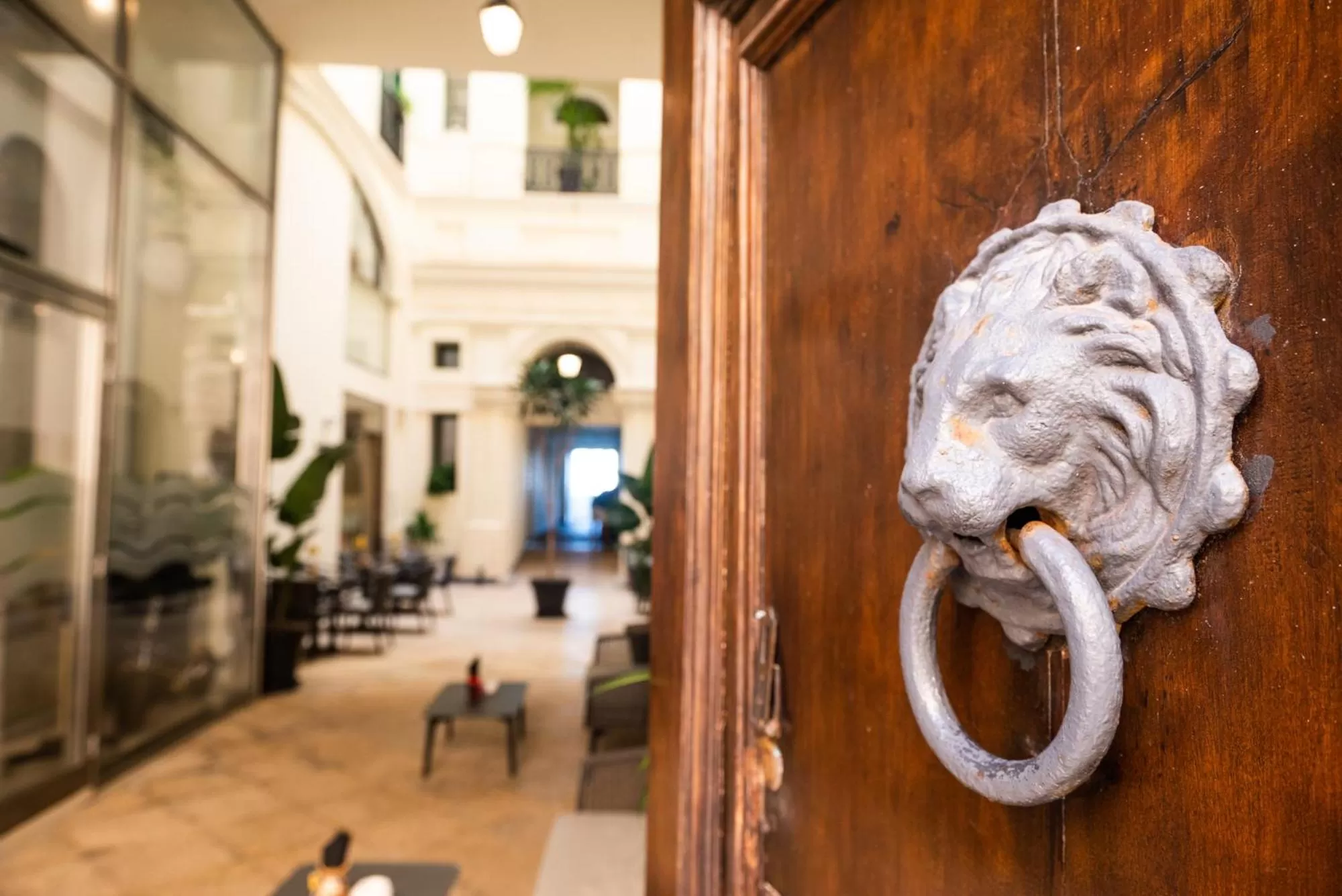 Patio in Central Gallery Rooms- Palazzo D'Ali' Staiti XIX