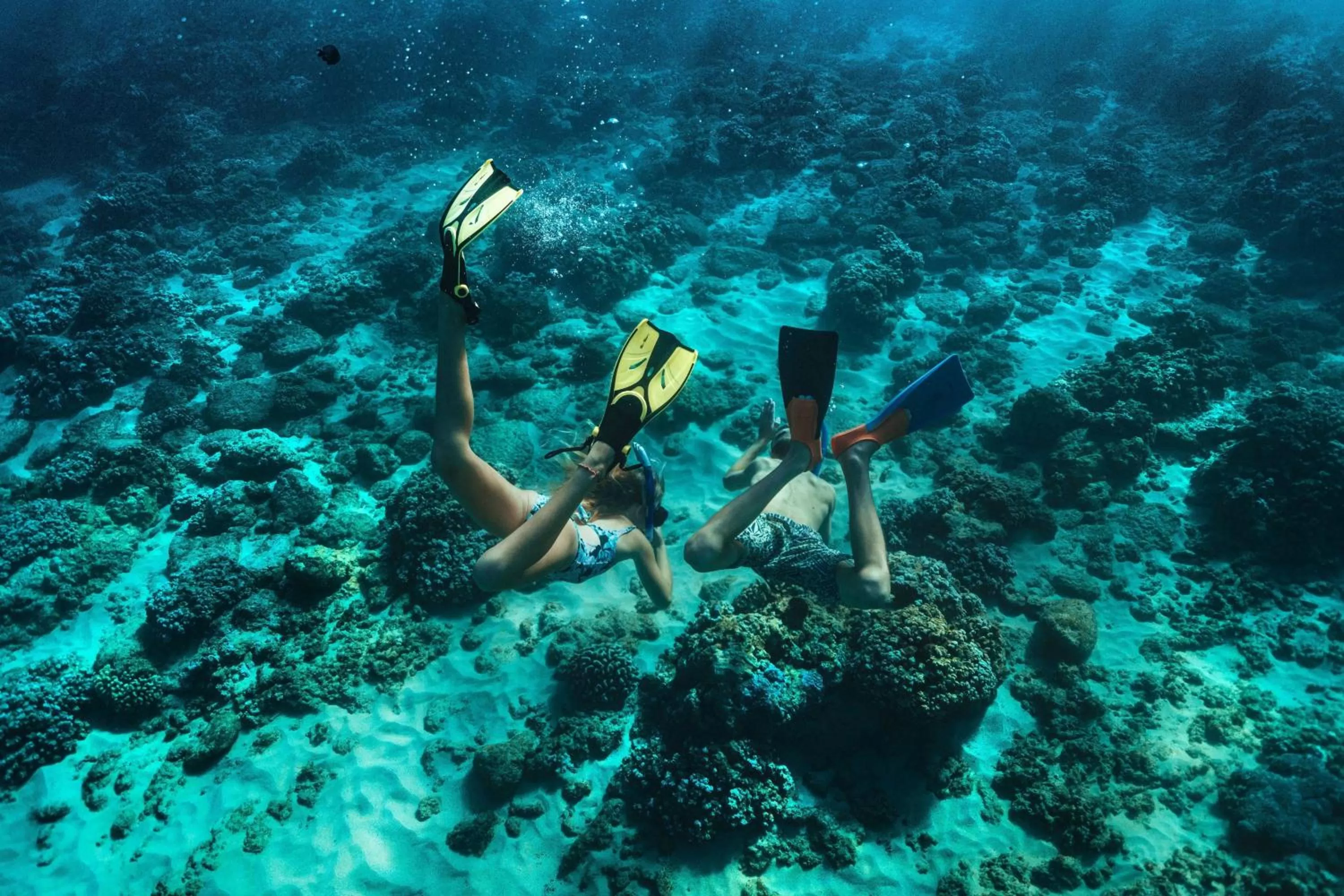 Other in The Ritz-Carlton Maui, Kapalua