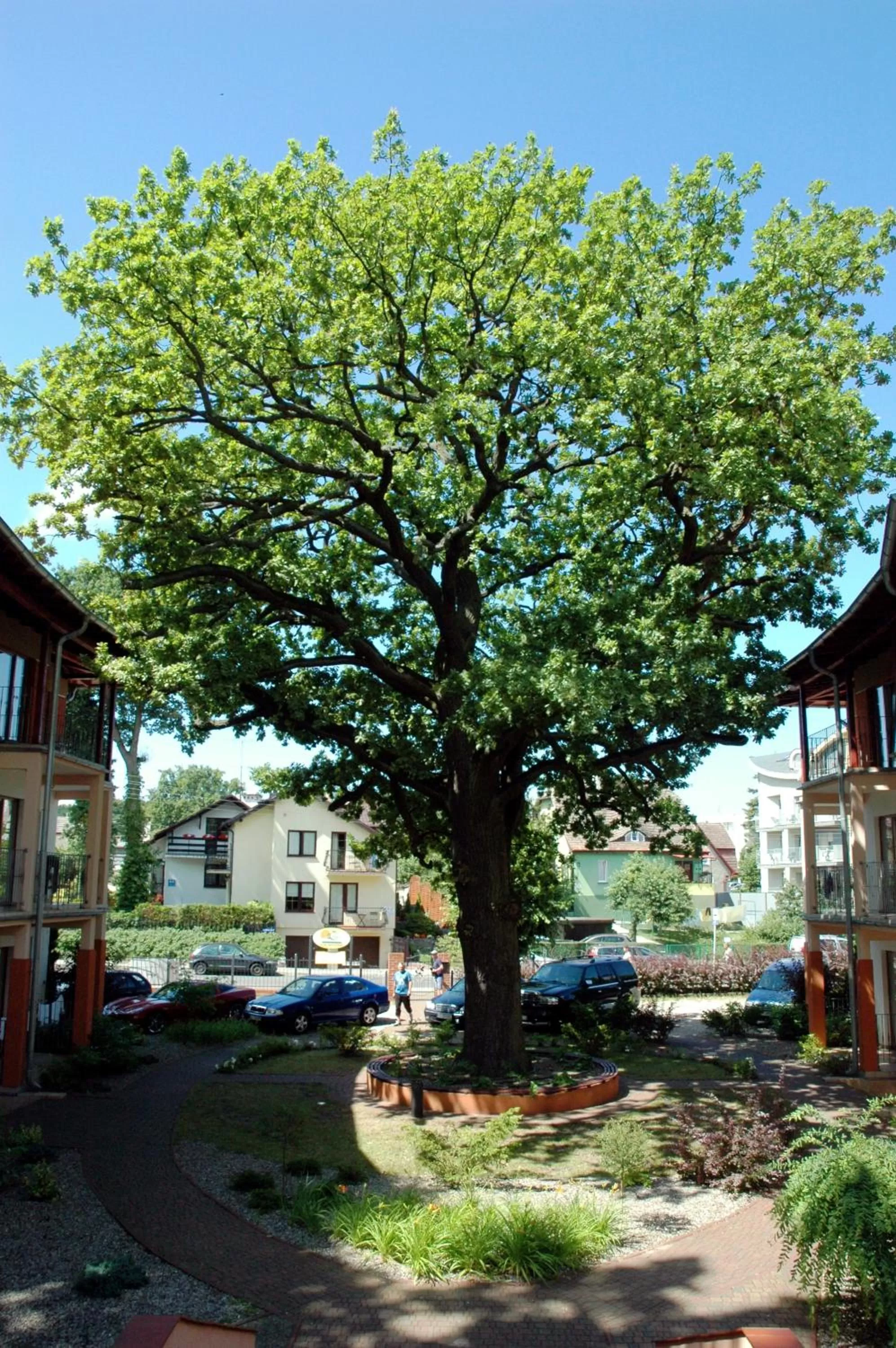 Property building in Rezydencja 5 Dębów