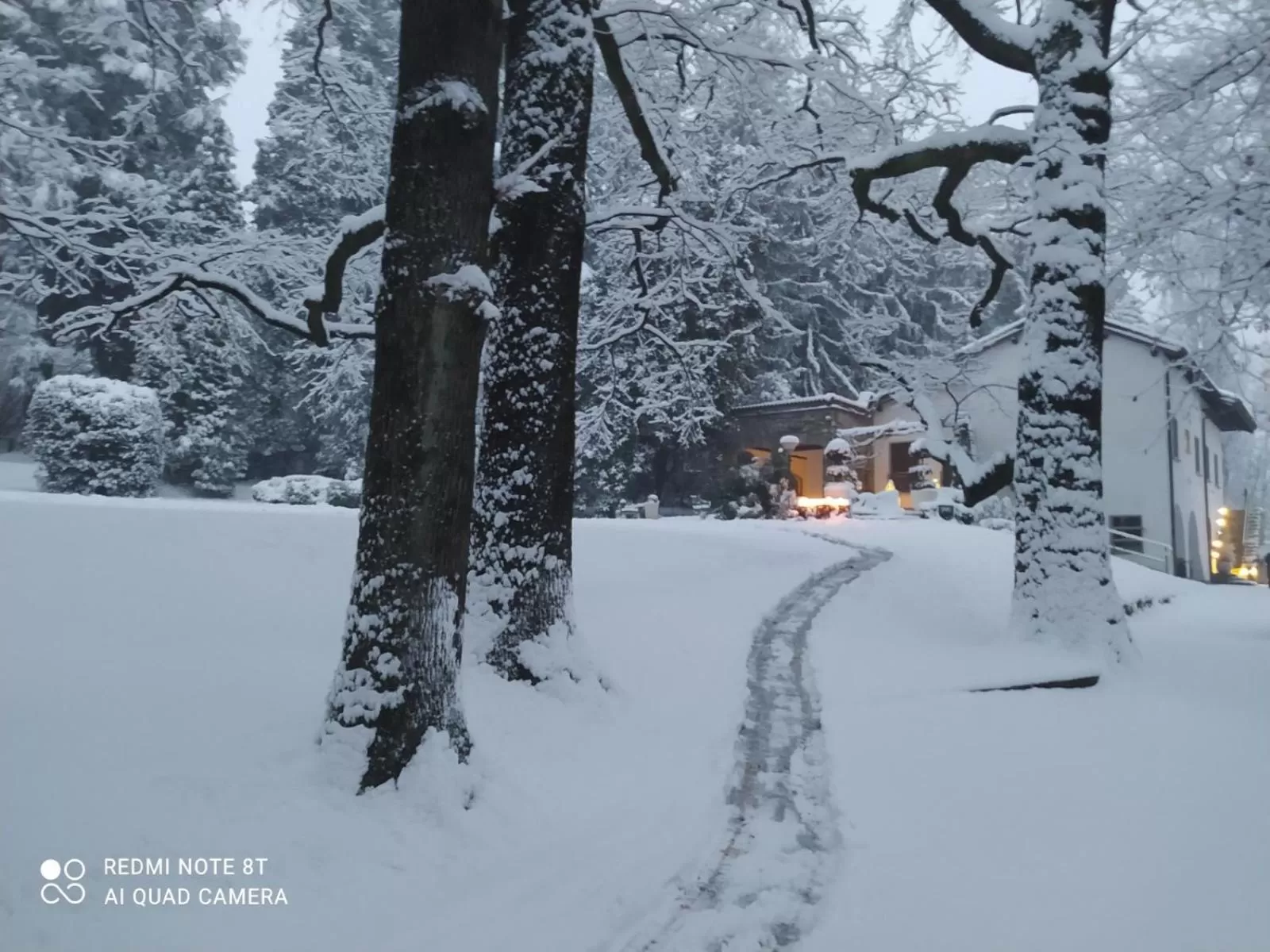 Natural landscape, Winter in "La Selvetta" bed and breakfast