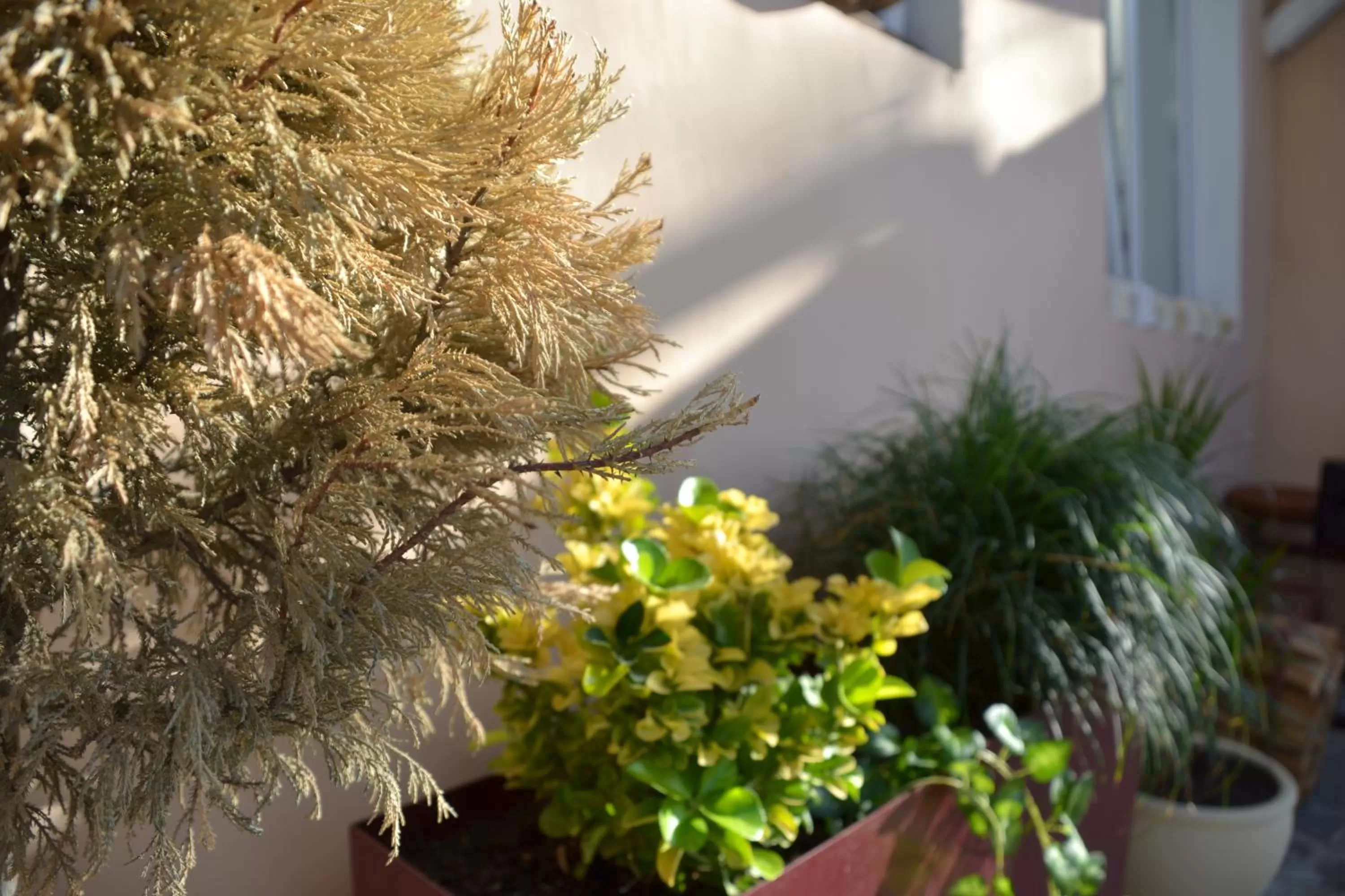 Restaurant/places to eat in Gvino Minda