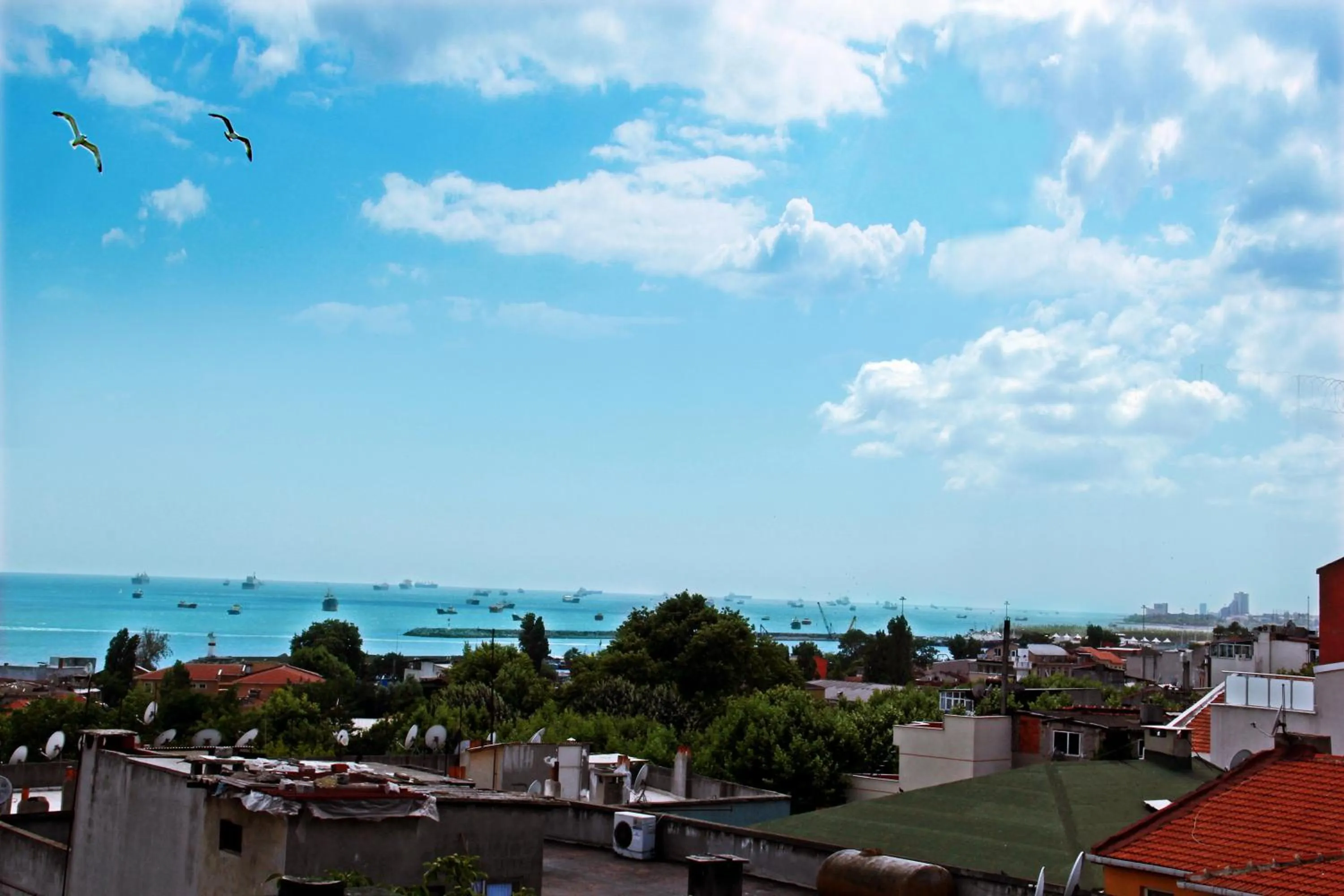 Balcony/Terrace in Kadirga Antik Hotel - Sultanahmet