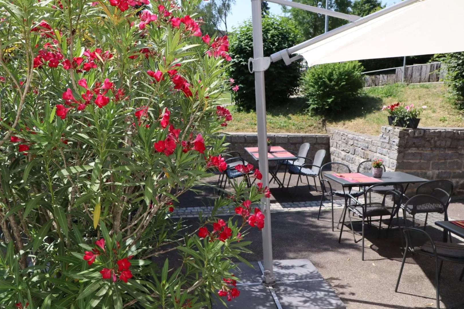 Garden view in Hotel Holzscheiter