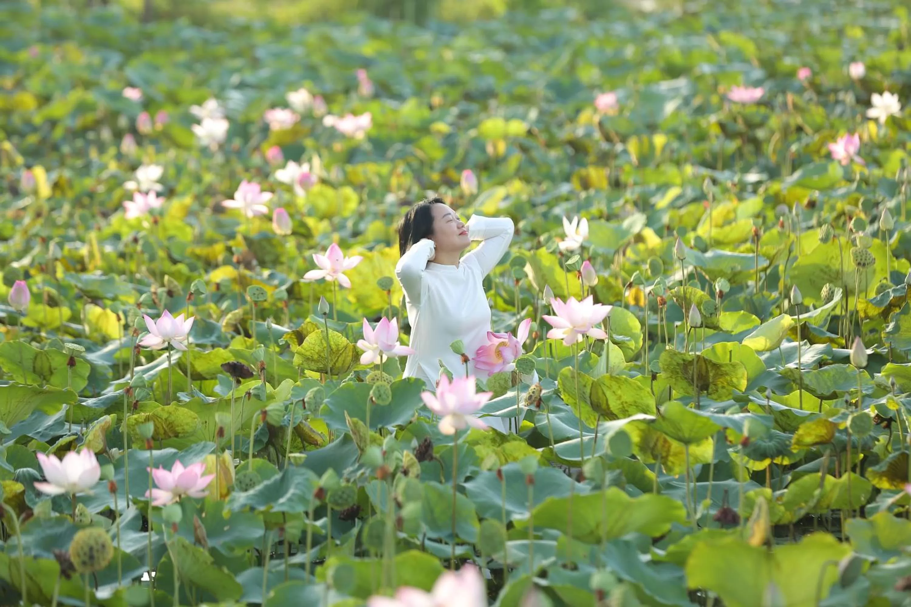 Day in Lotus Hotel Ninh Bình