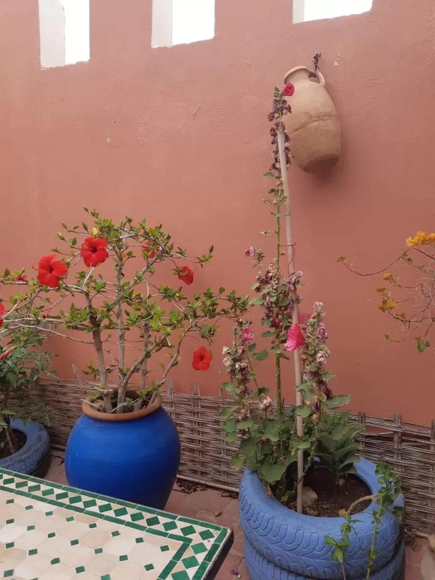 Patio in Chambres d'Hôtes les amis