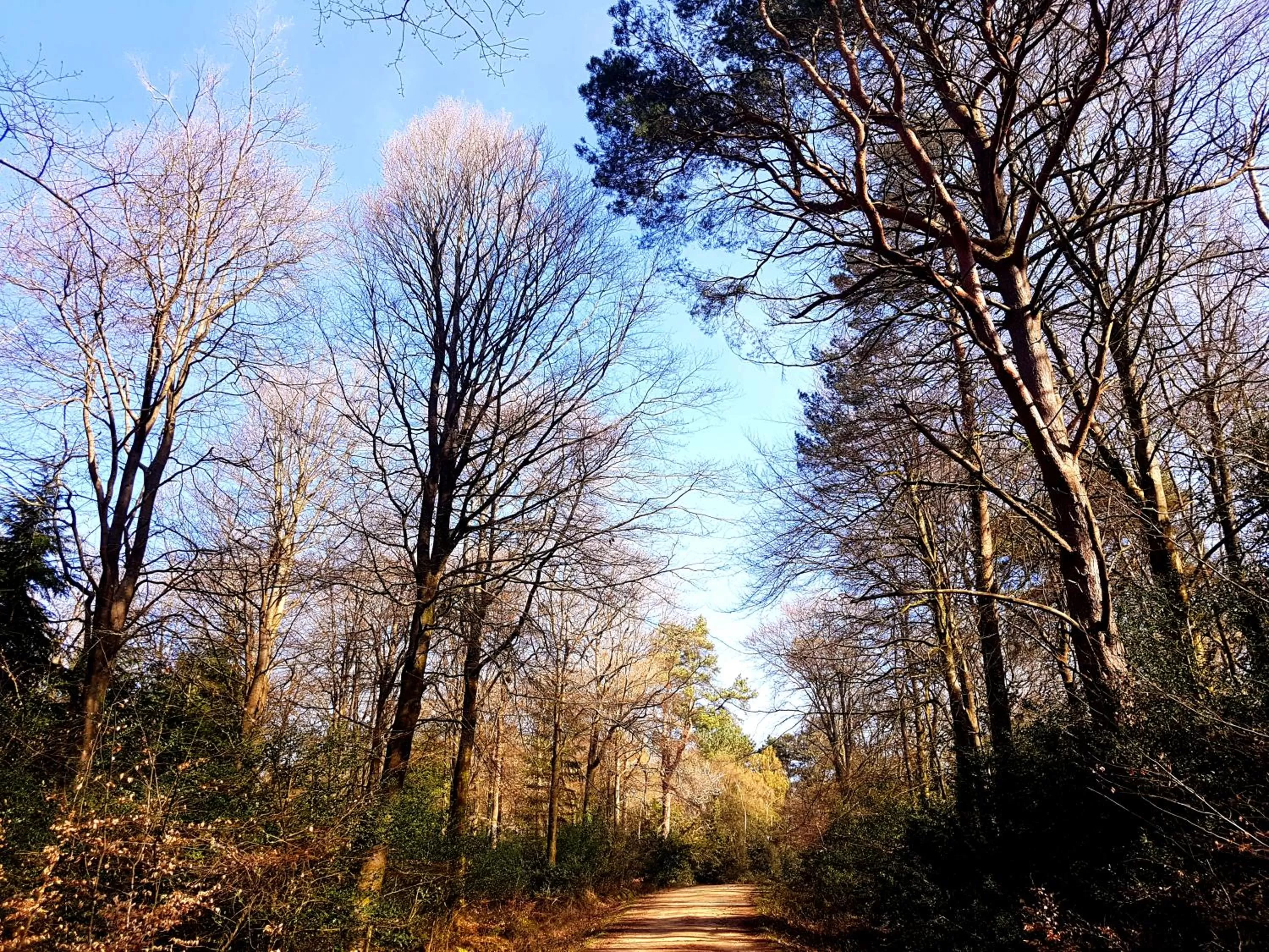 Natural landscape in Wildwood B&B