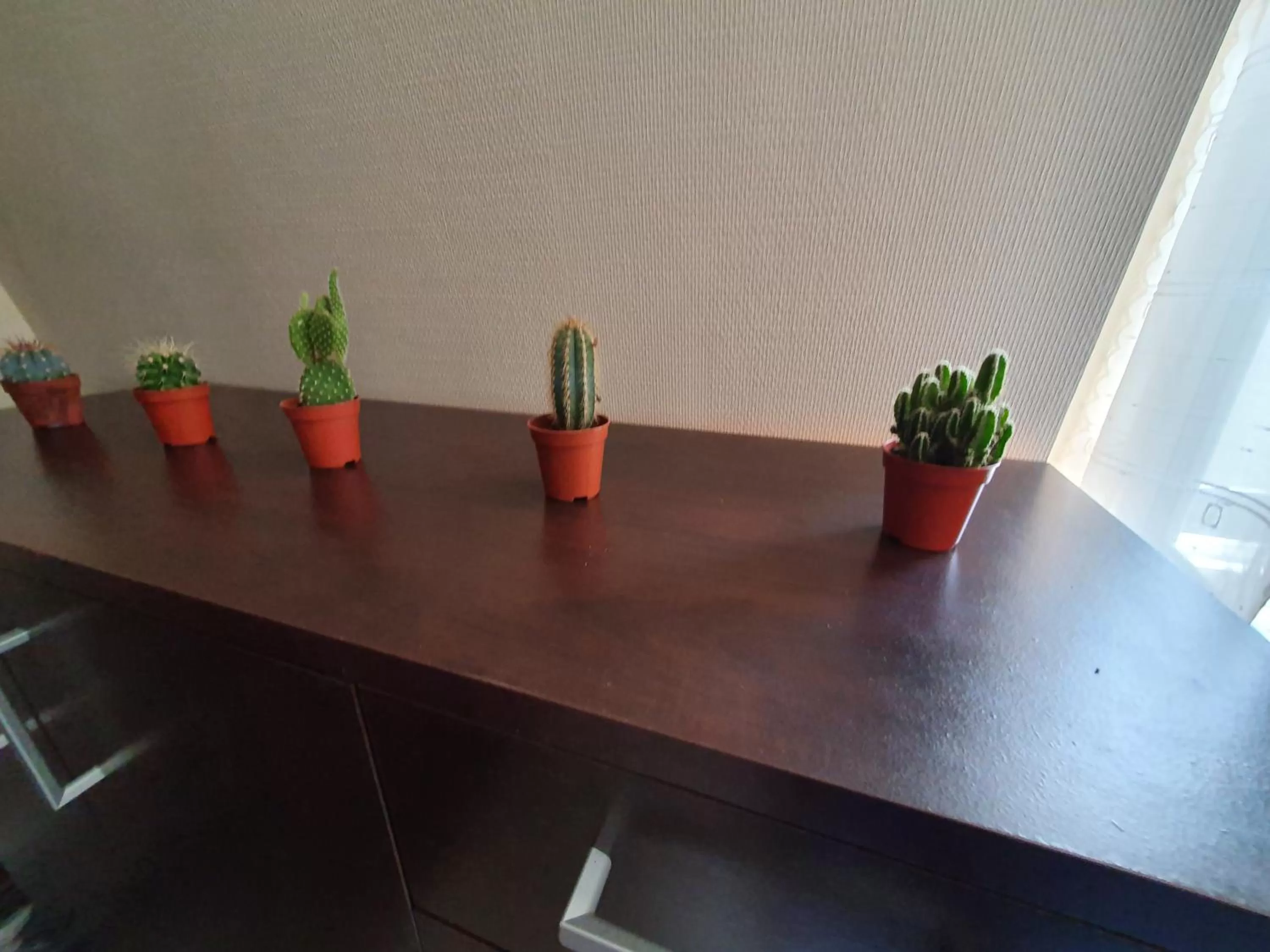 Dining Area in Cocon cosy avec SDB privée à Tours centre