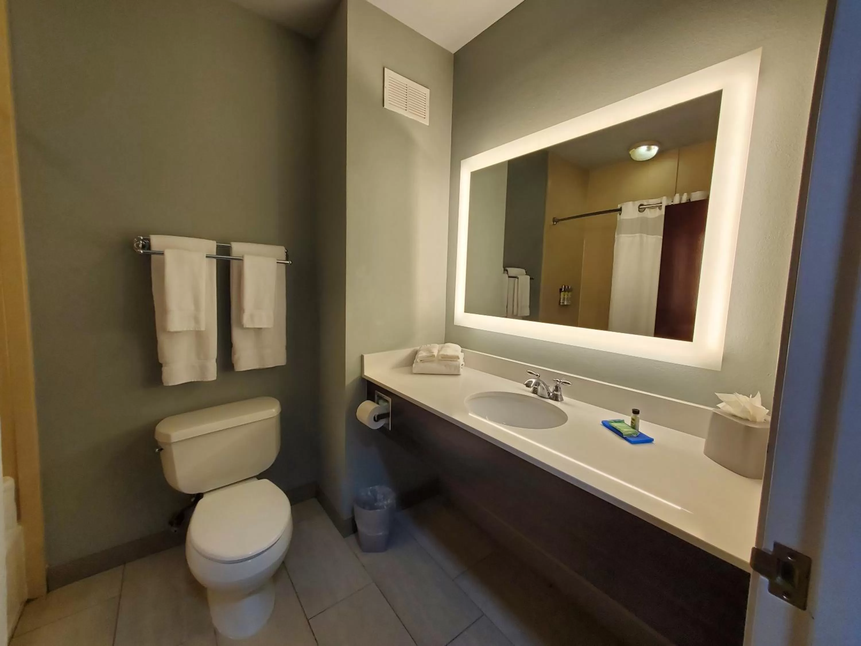 Standard King Room in Holiday Inn Express Pearland by IHG