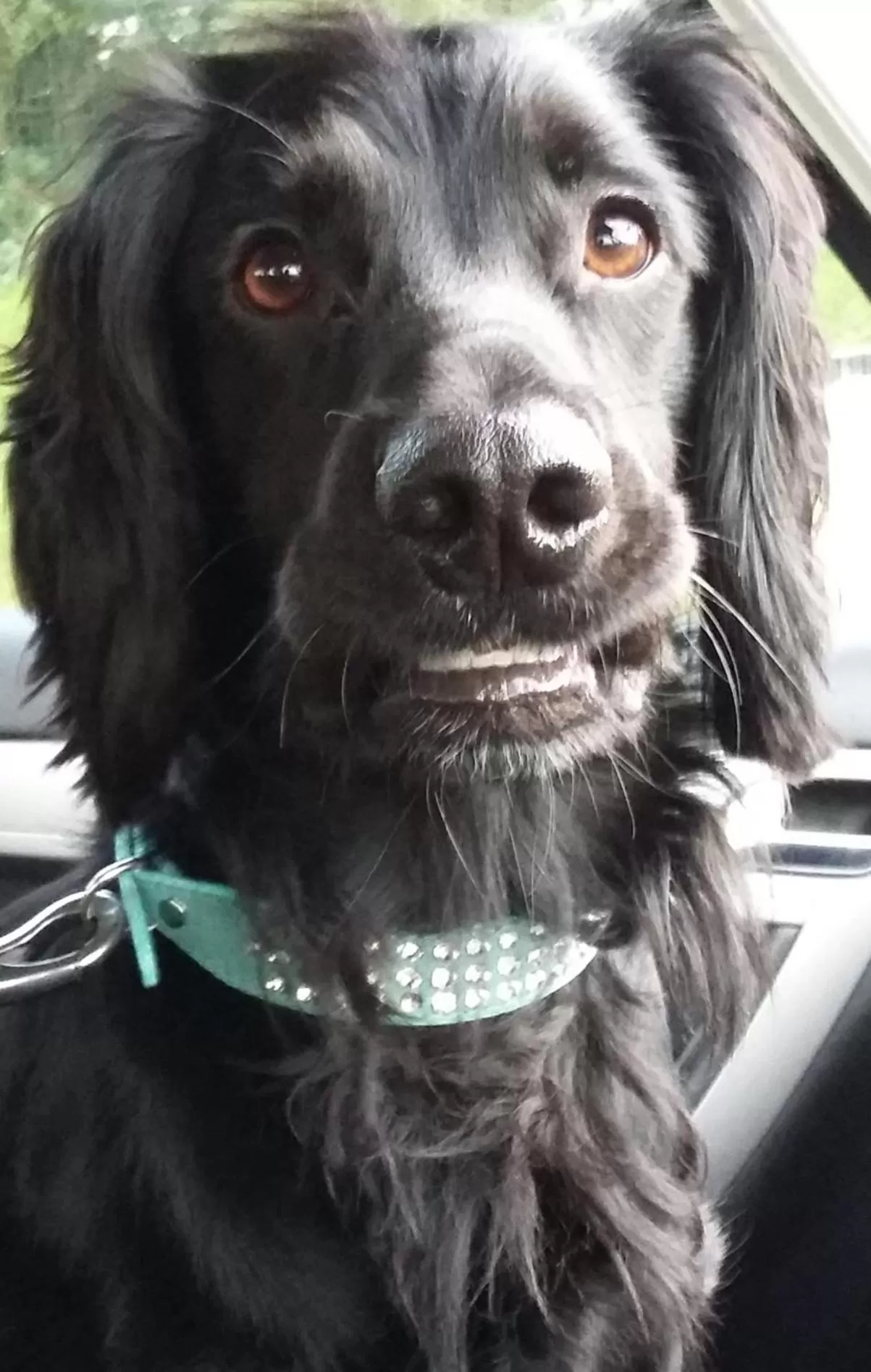 1 ivy cottages the street norton subcourse NR146RS