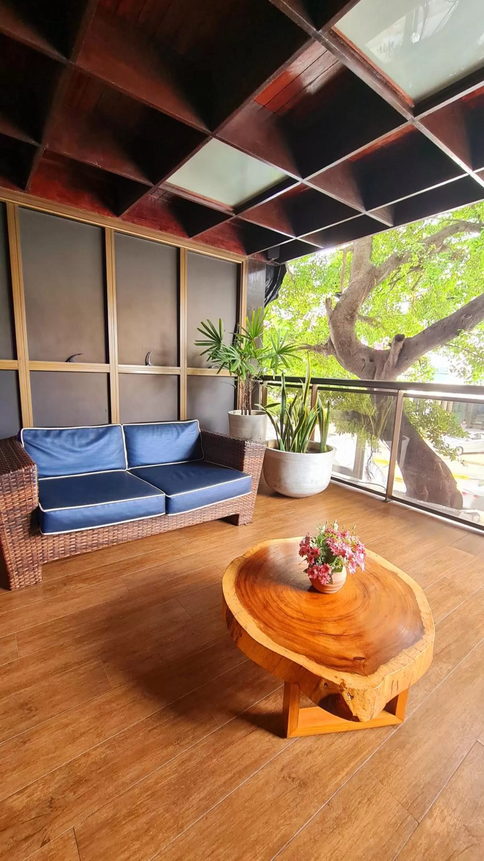 Seating area in Carppa Hotel