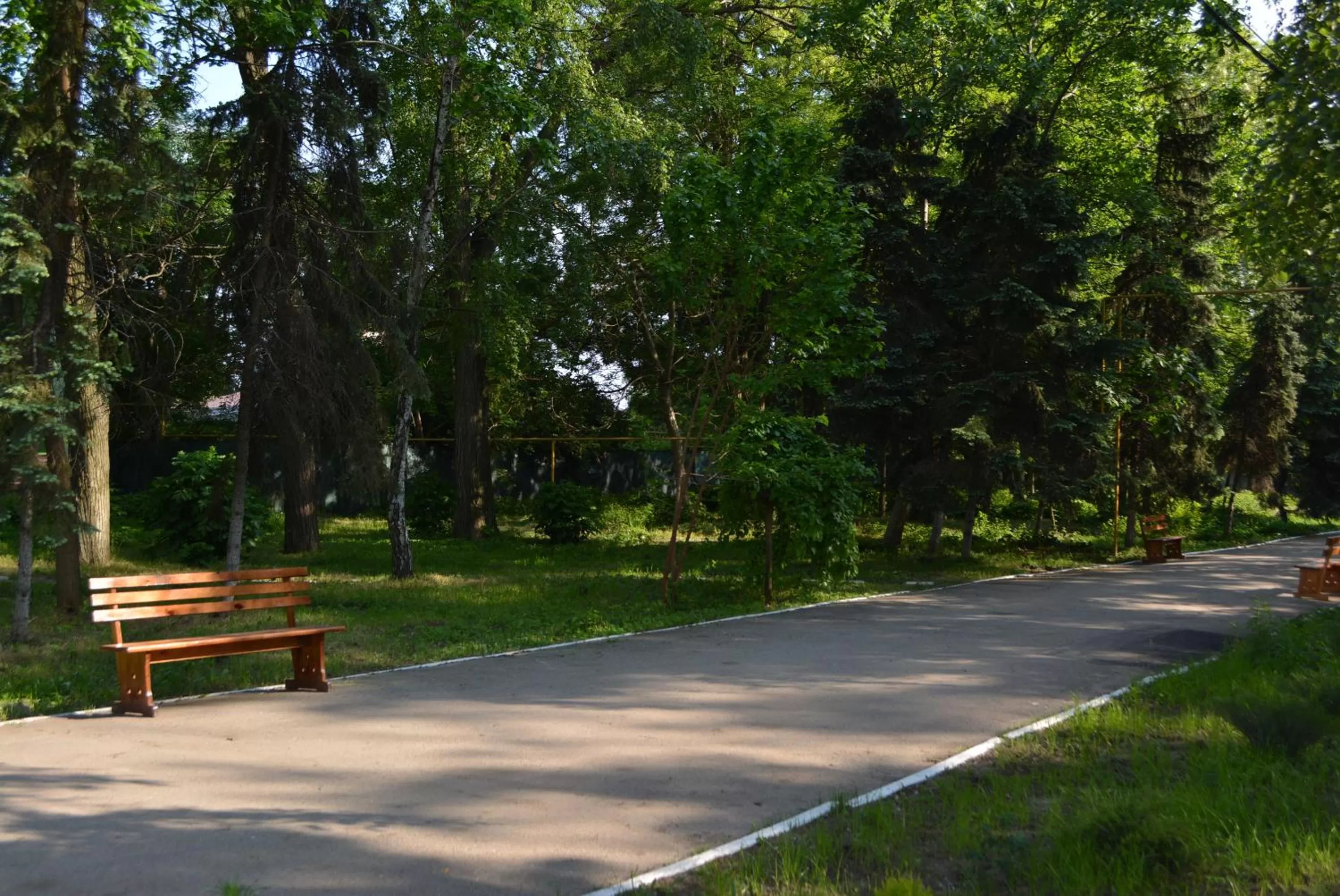 View (from property/room), Garden in Zelenyi Kampus