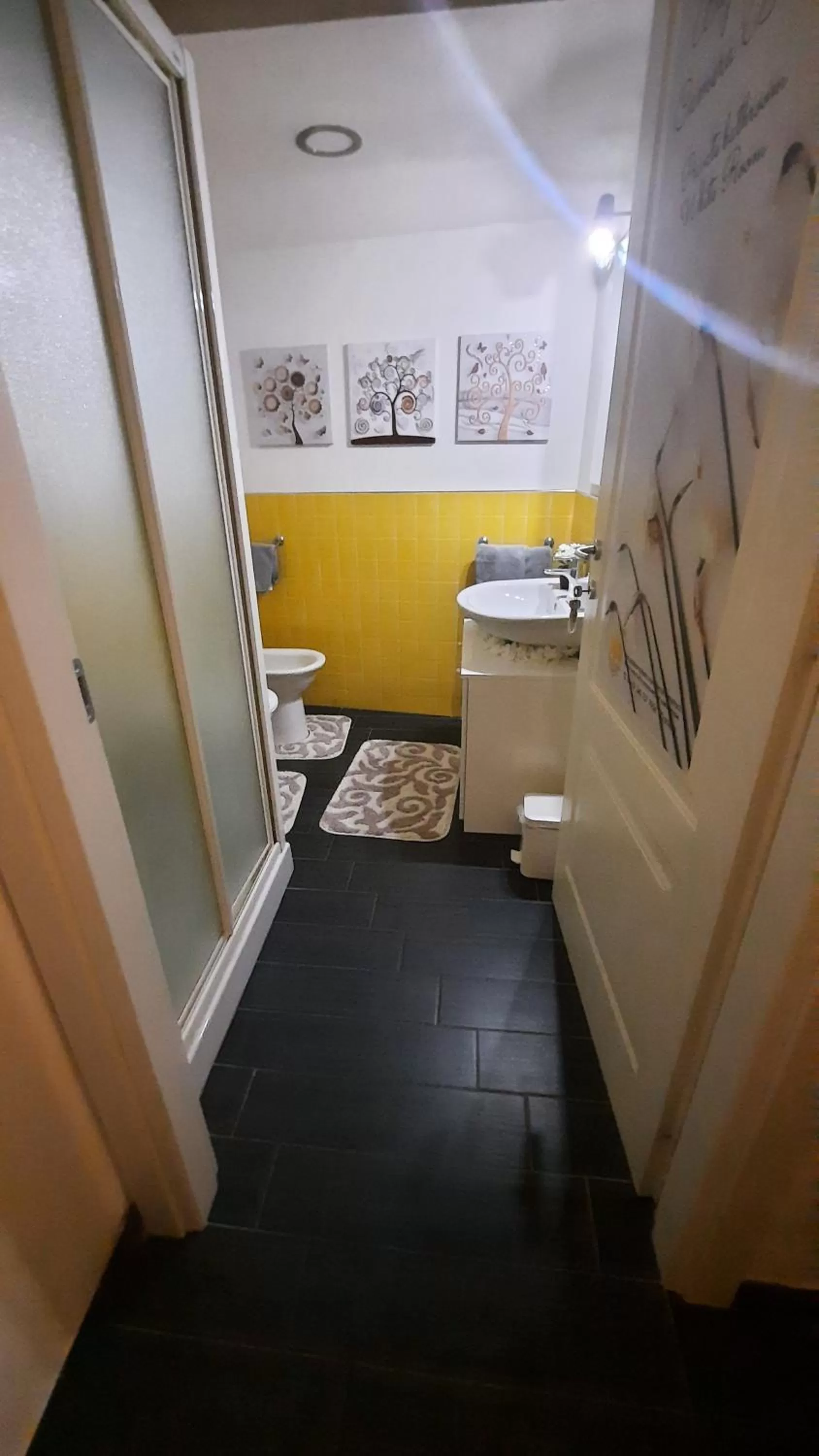 Shower in Affittacamere Sa Pardula