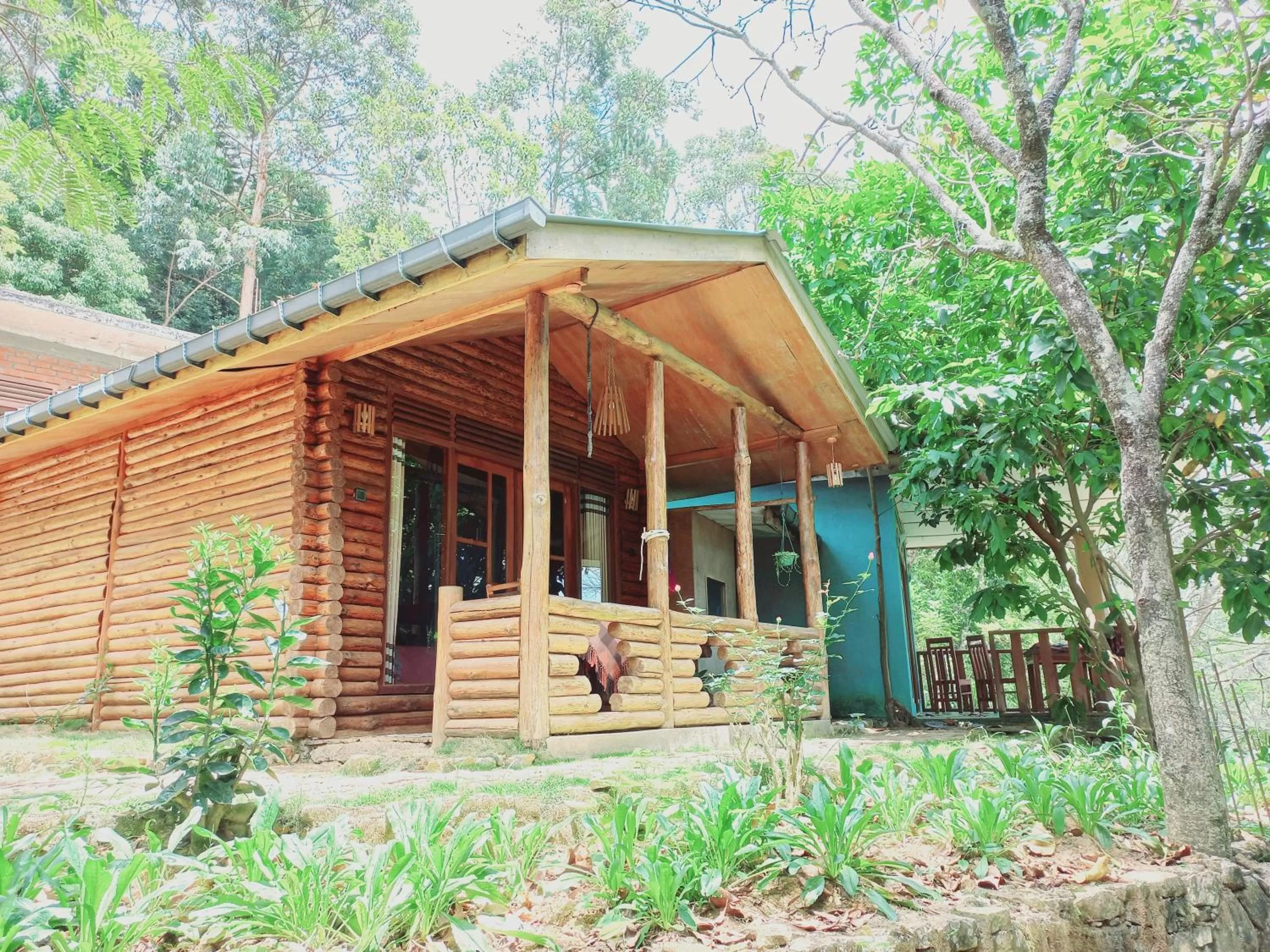 Property Building in Felicity Inn